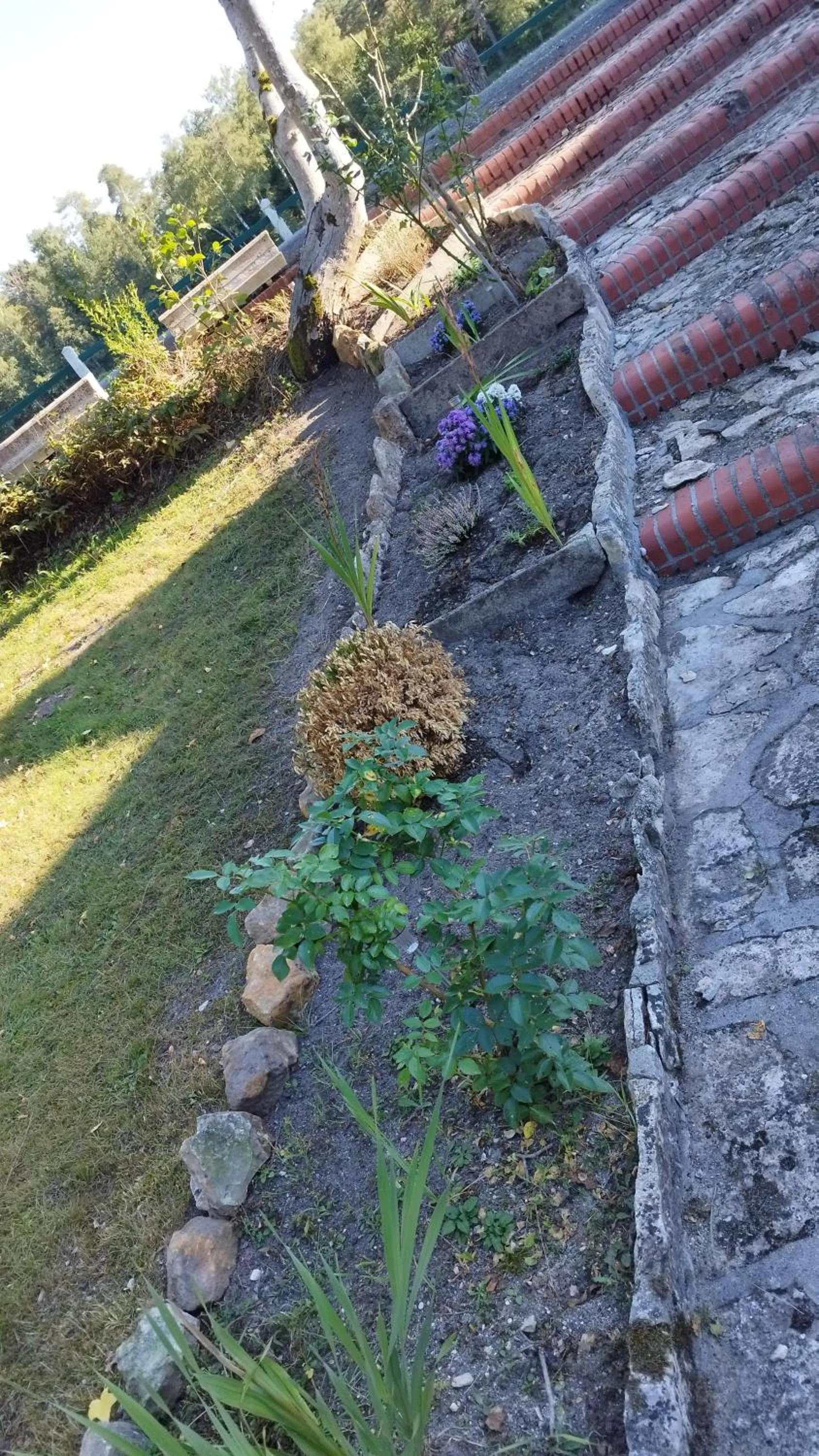 Garden in Hotel Moulin de Villiers