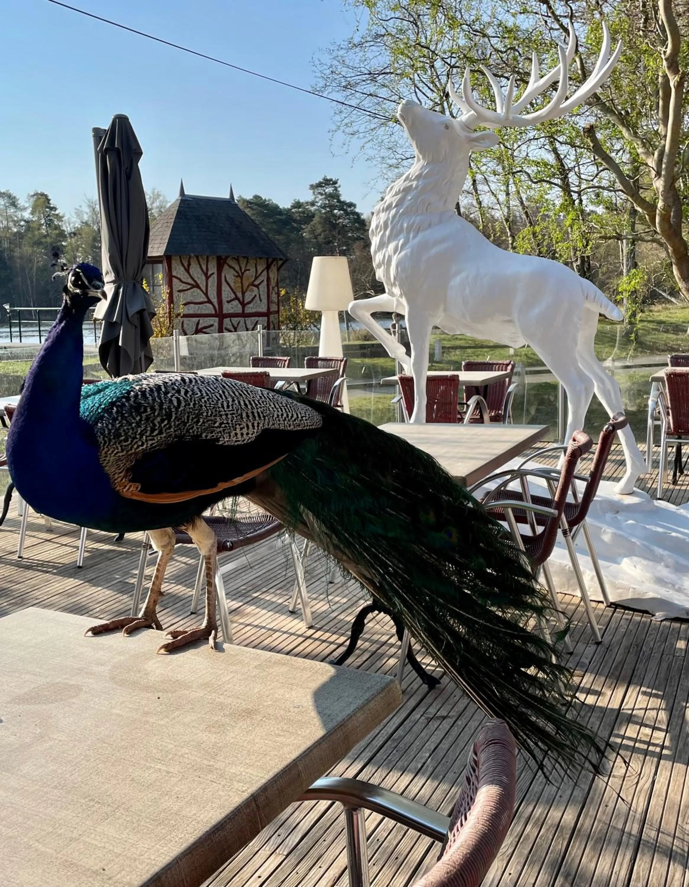 Hotel Moulin de Villiers