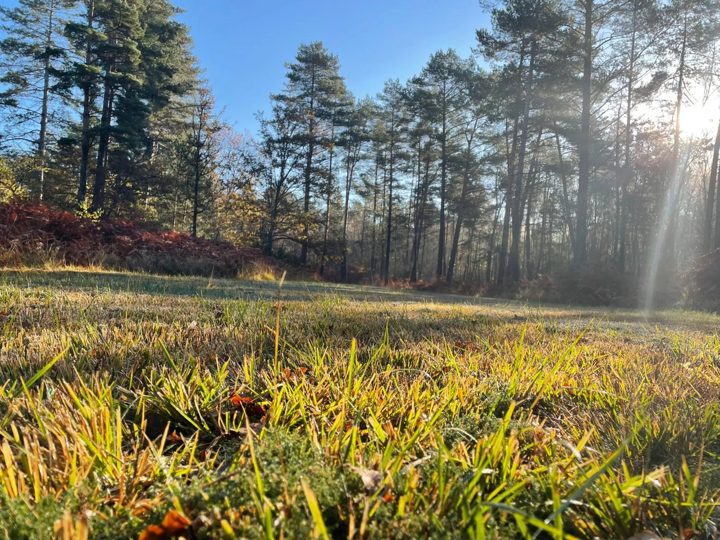 Hotel Moulin de Villiers
