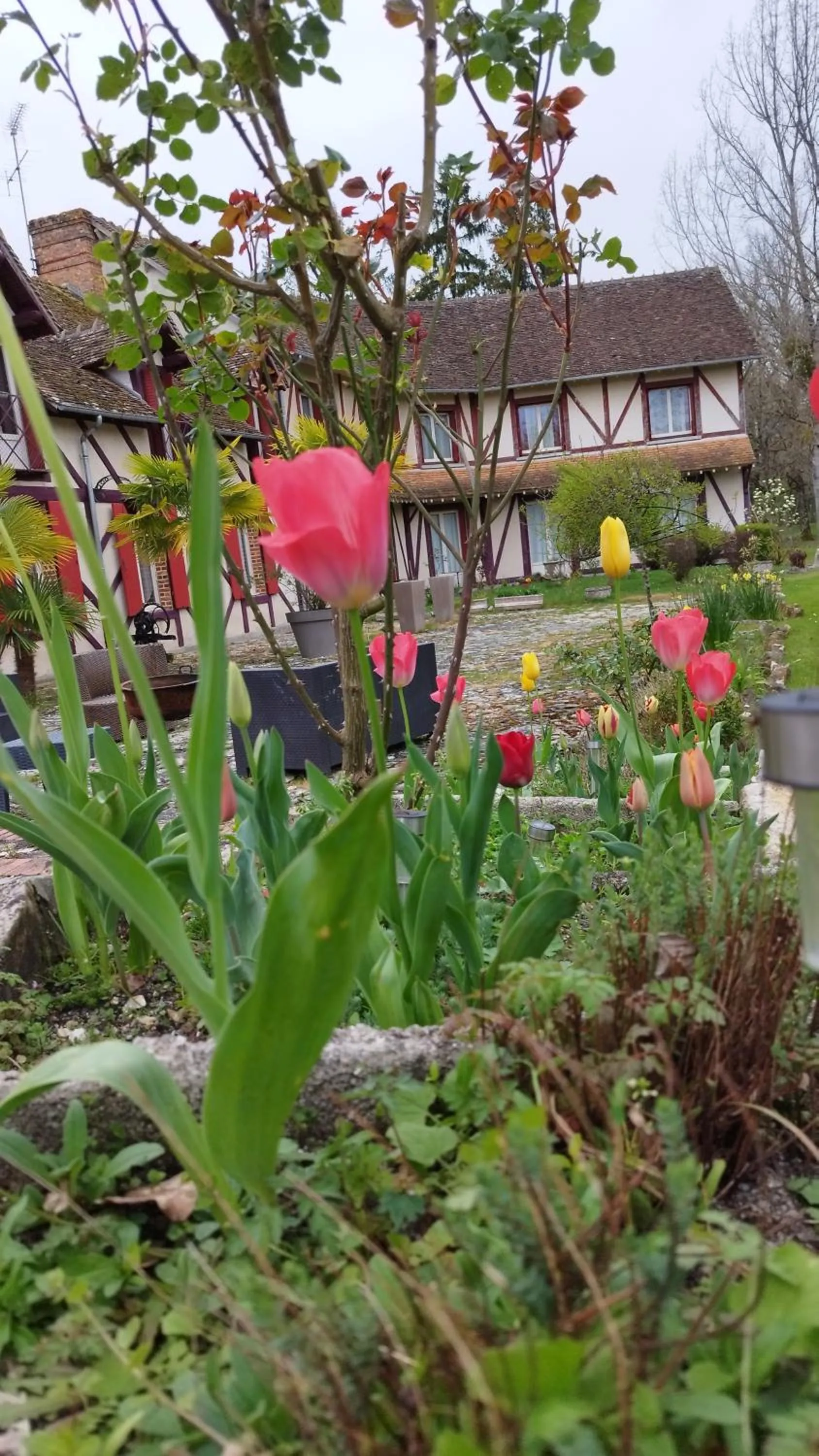 Garden in Hotel Moulin de Villiers