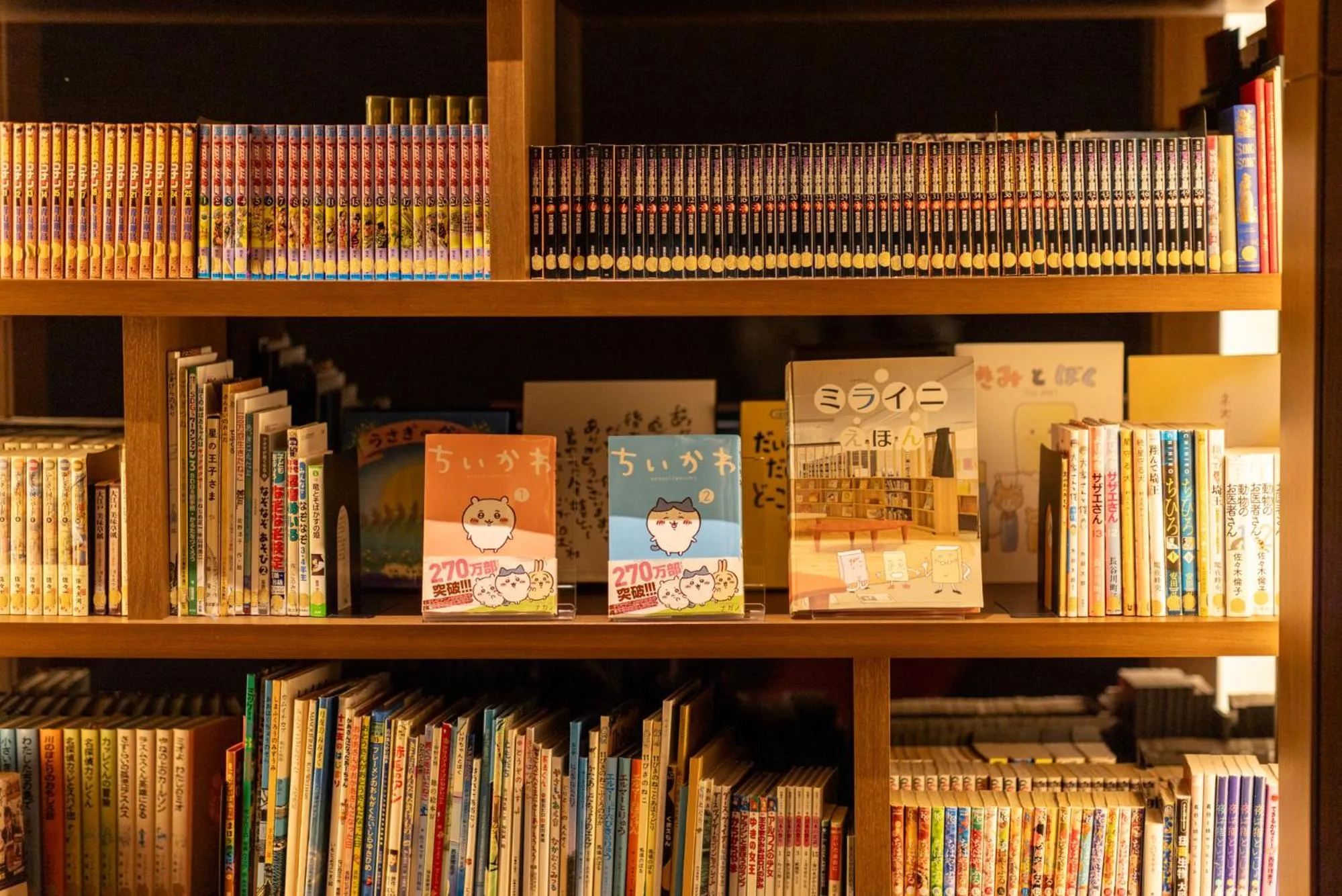 Library in Tsukino HOTEL