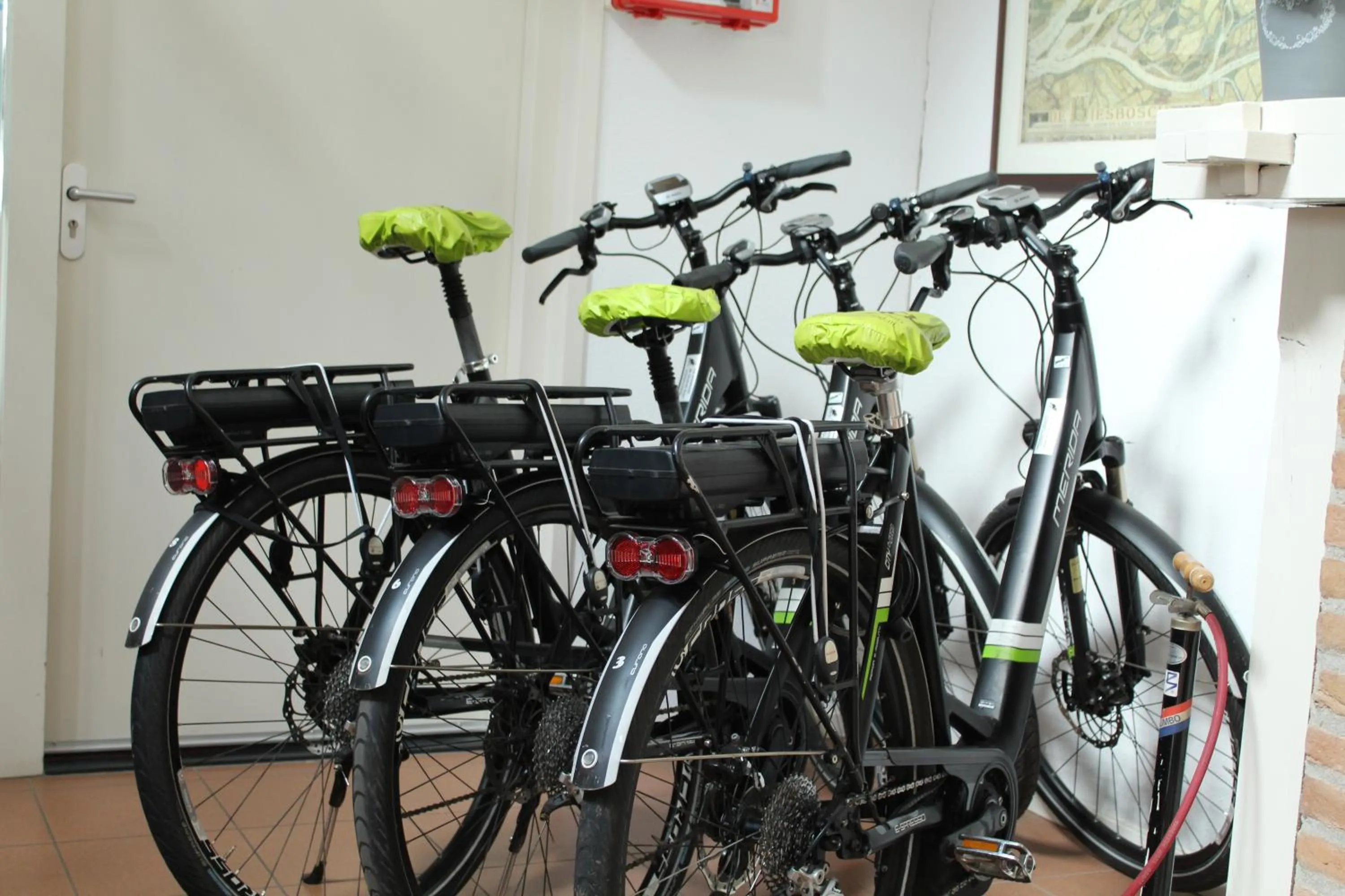 Cycling in de Brabantse Biesbosch