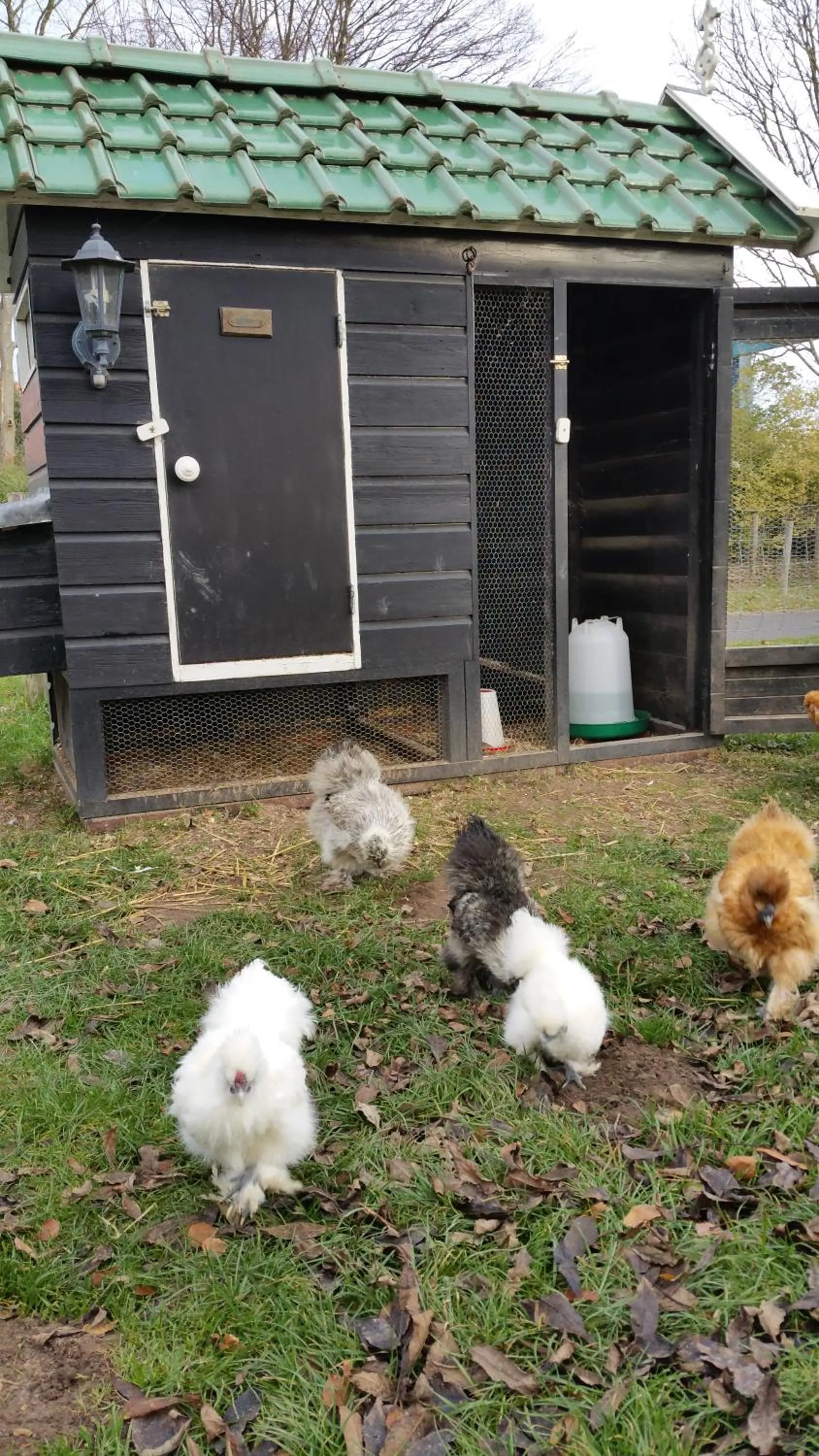 Animals in de Brabantse Biesbosch