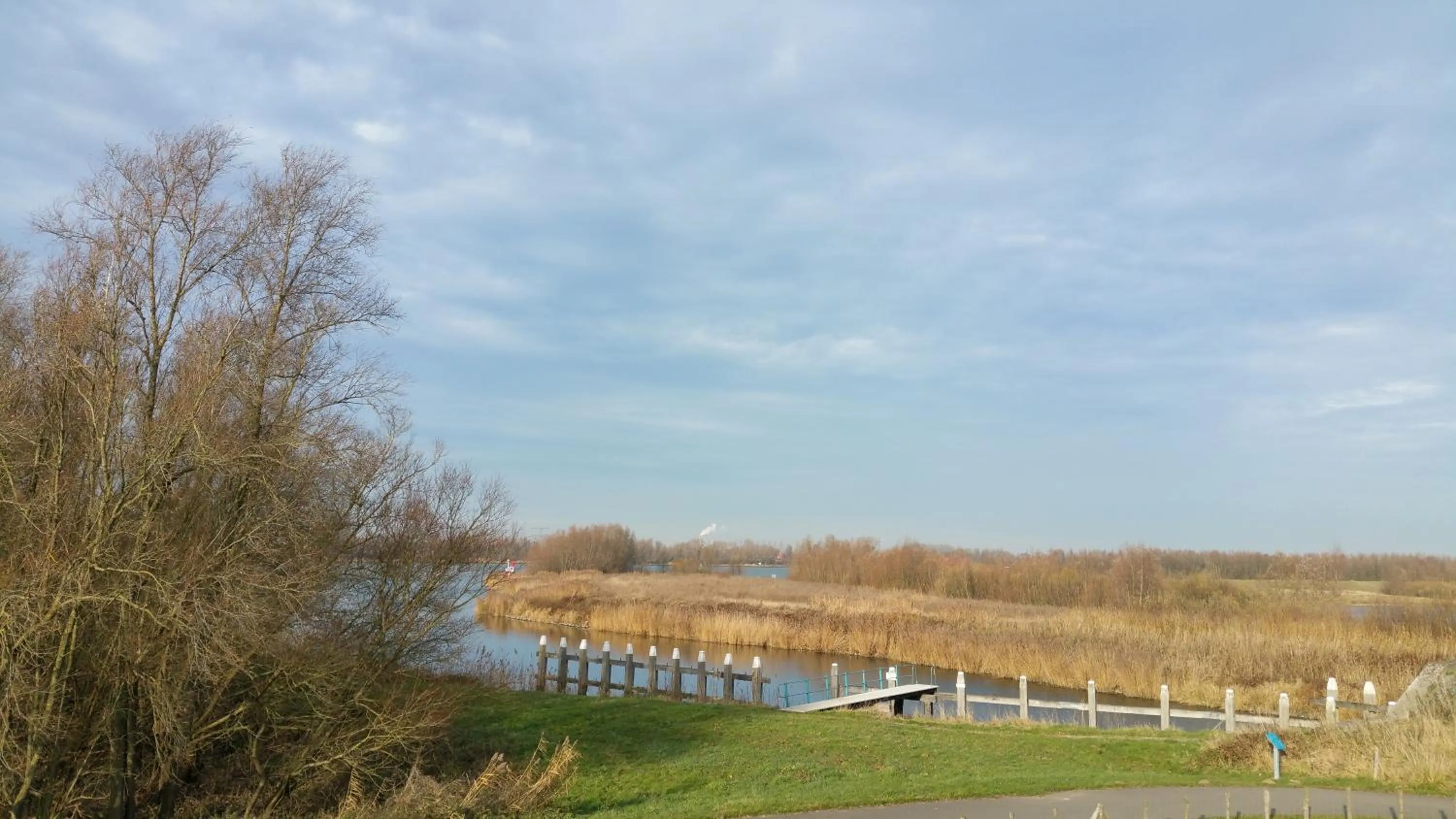 River view in de Brabantse Biesbosch