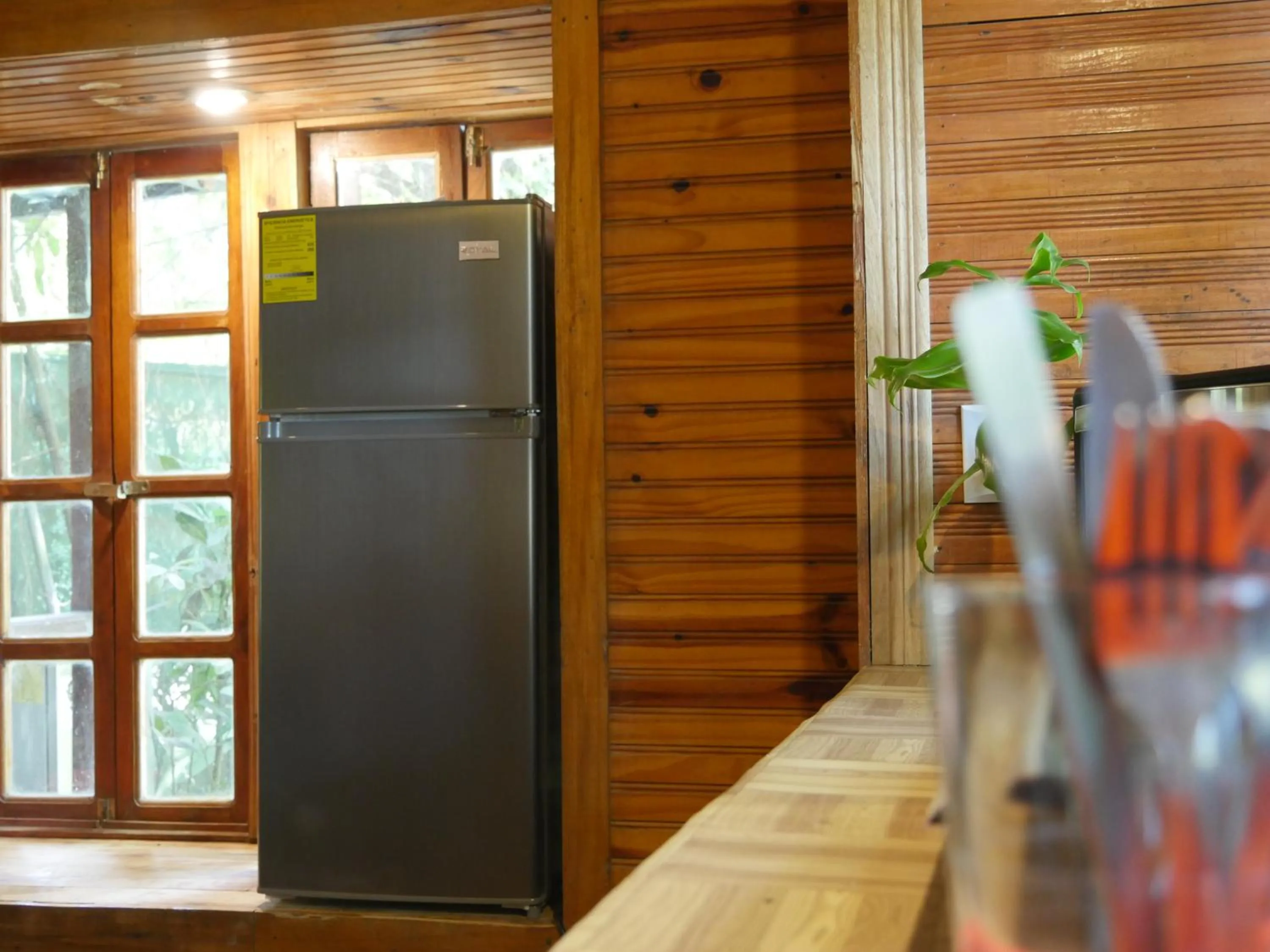 One-Bedroom Apartment in Hotel Mandacarú Puerto Viejo