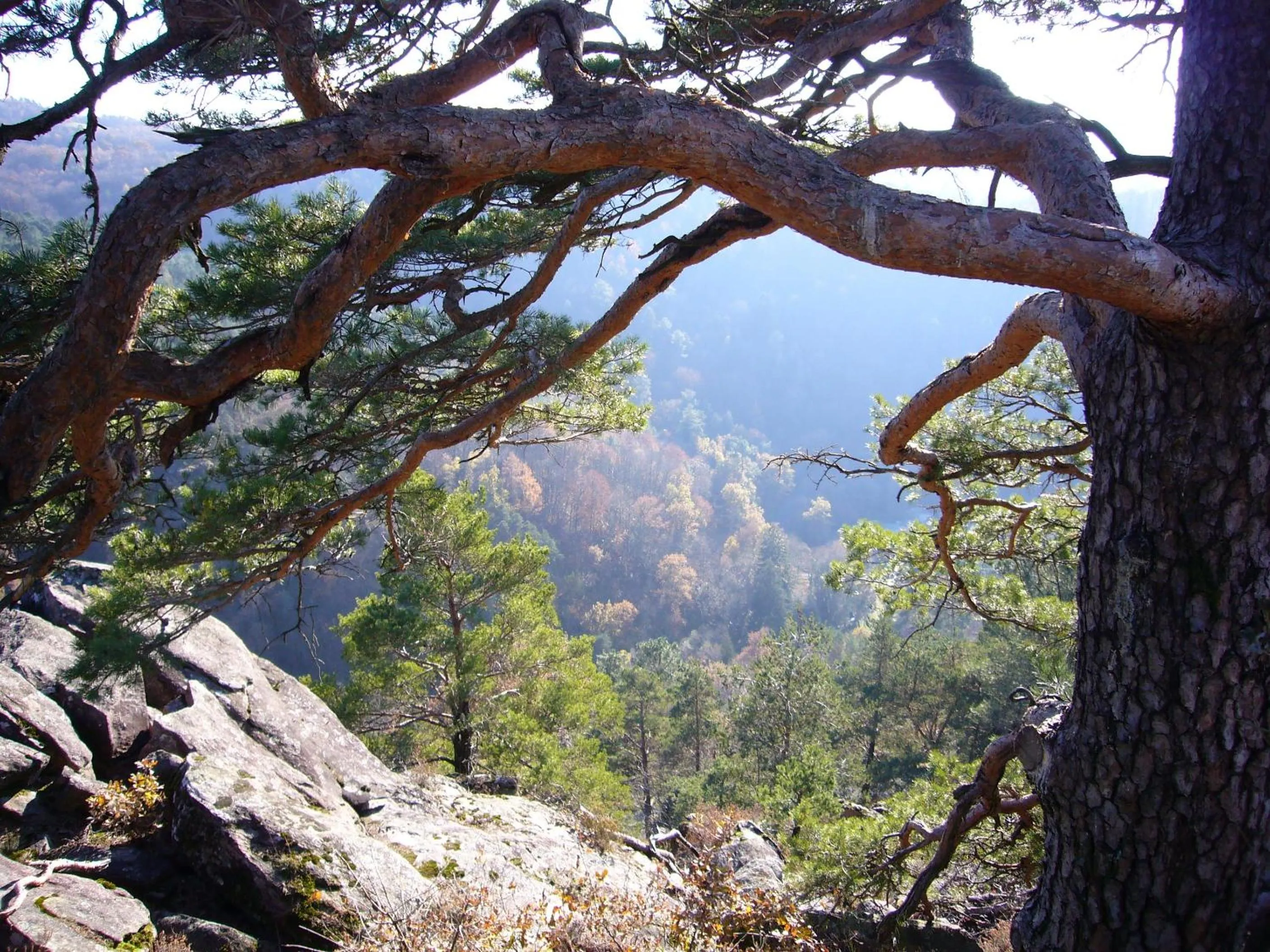 Summer in B&B Le Saut de la Bergère