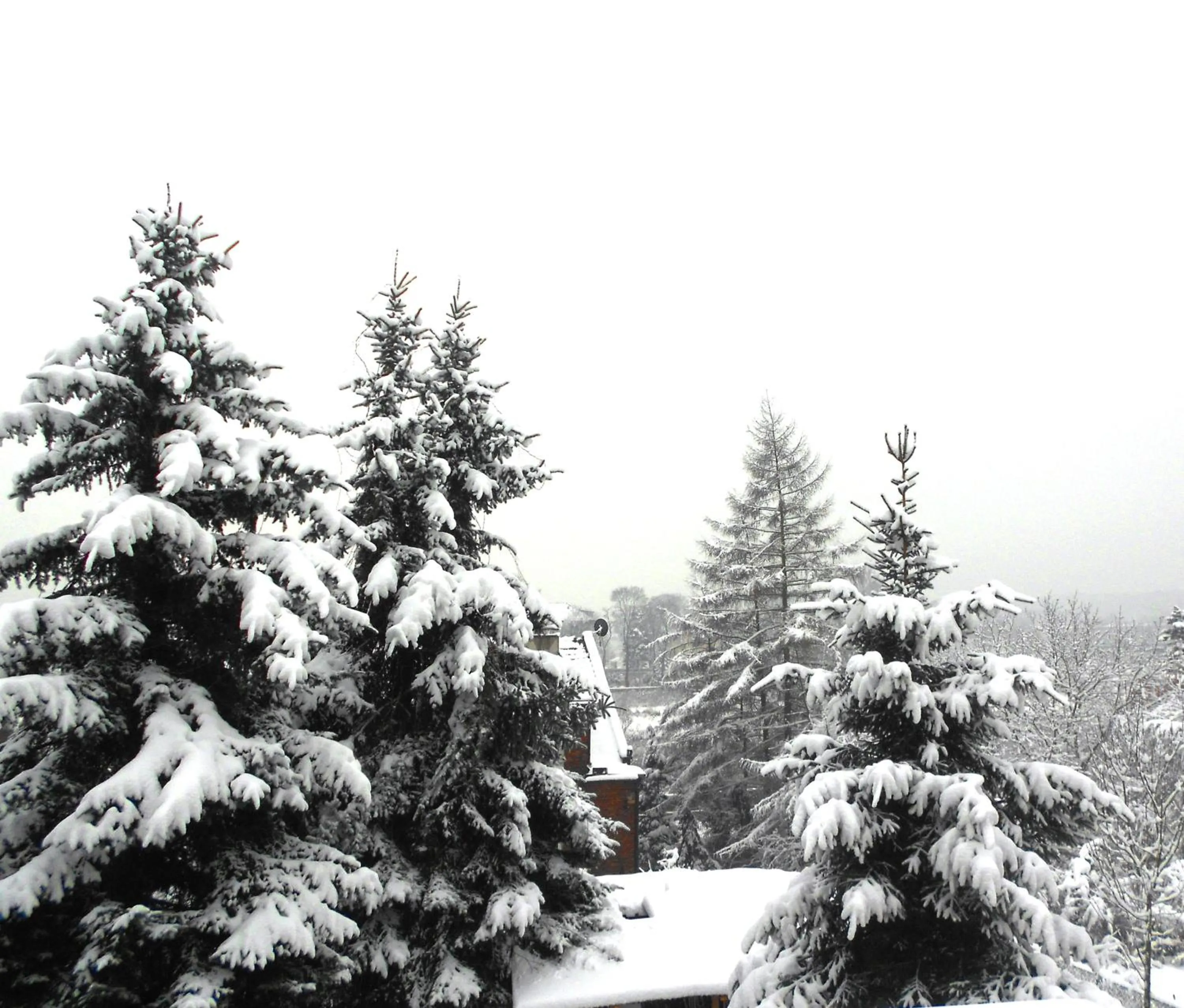 Natural landscape in Extra Pokoje do Wynajęcia