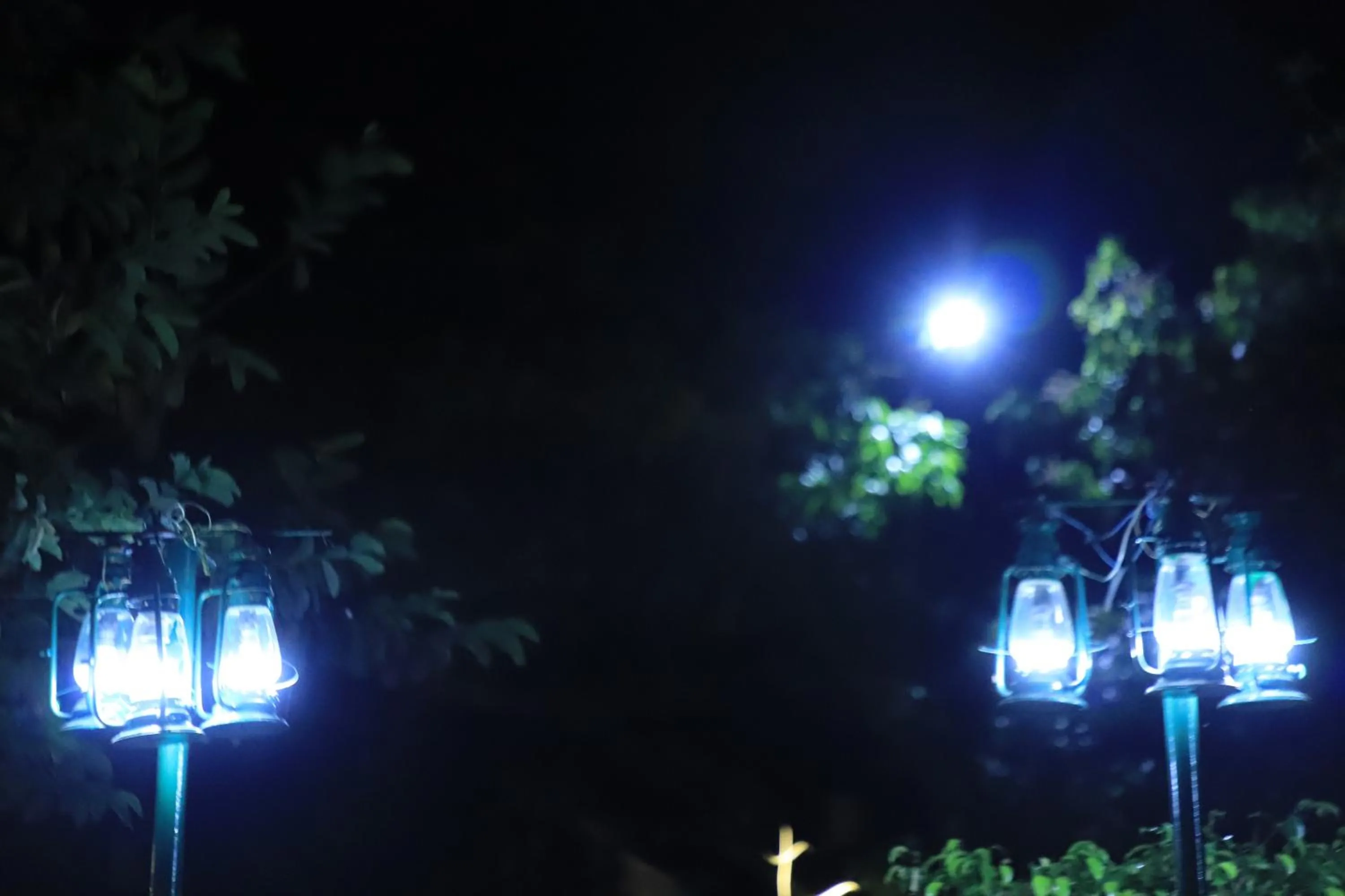 Night in Corbett Paradiso Resort Dikhuli