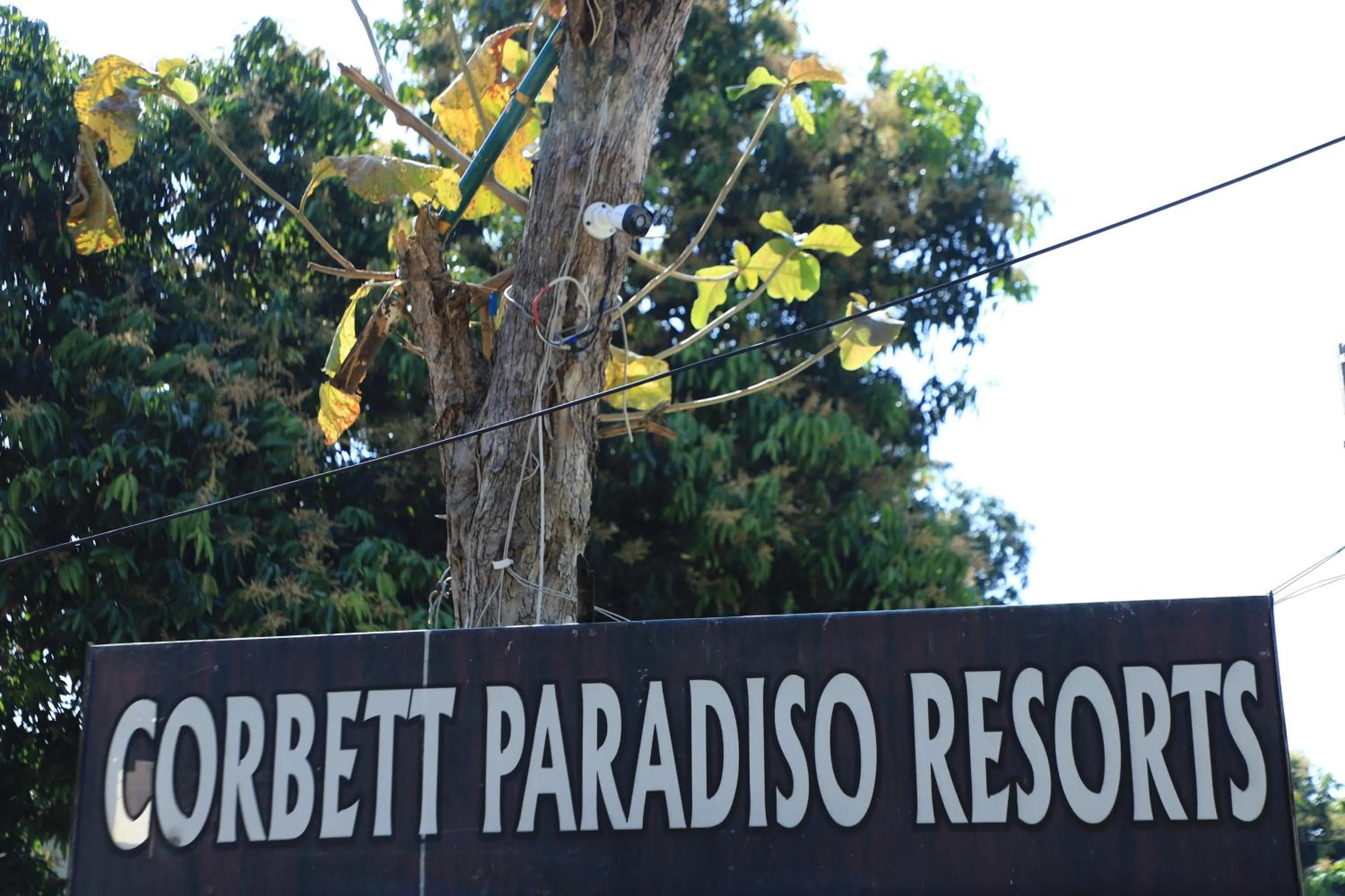 Logo/Certificate/Sign in Corbett Paradiso Resort Dikhuli