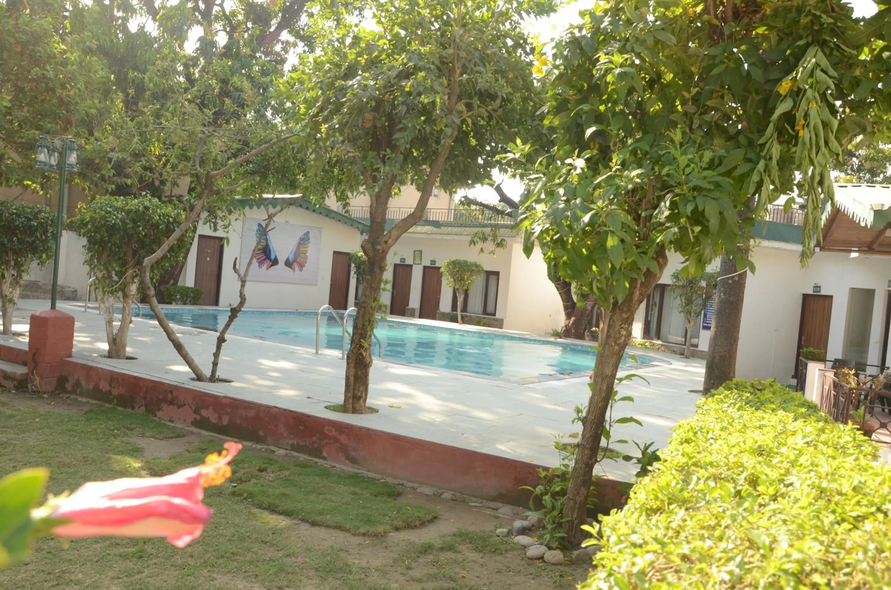 Garden view in Corbett Paradiso Resort Dikhuli