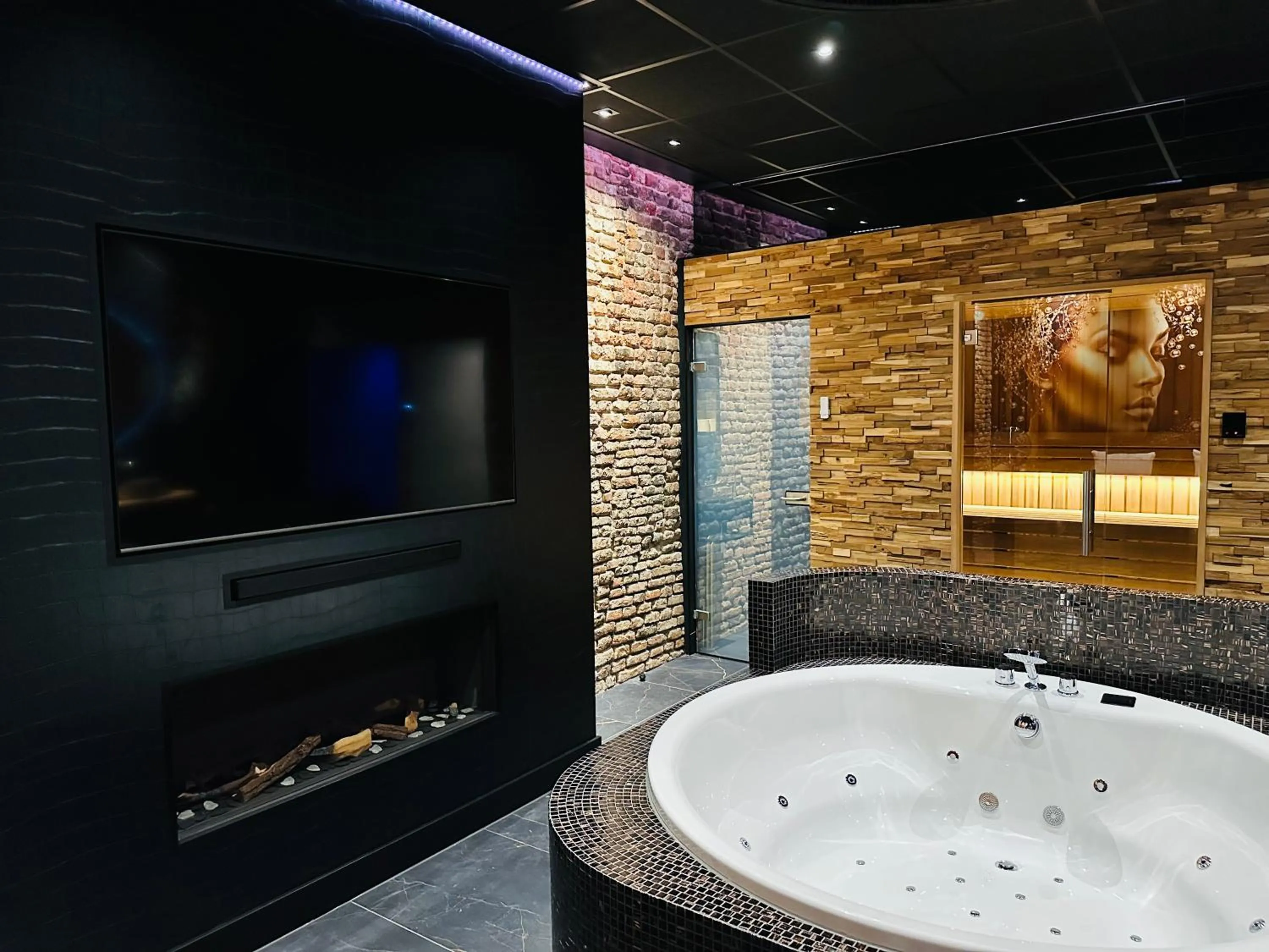 TV and multimedia in Hotel de Prince