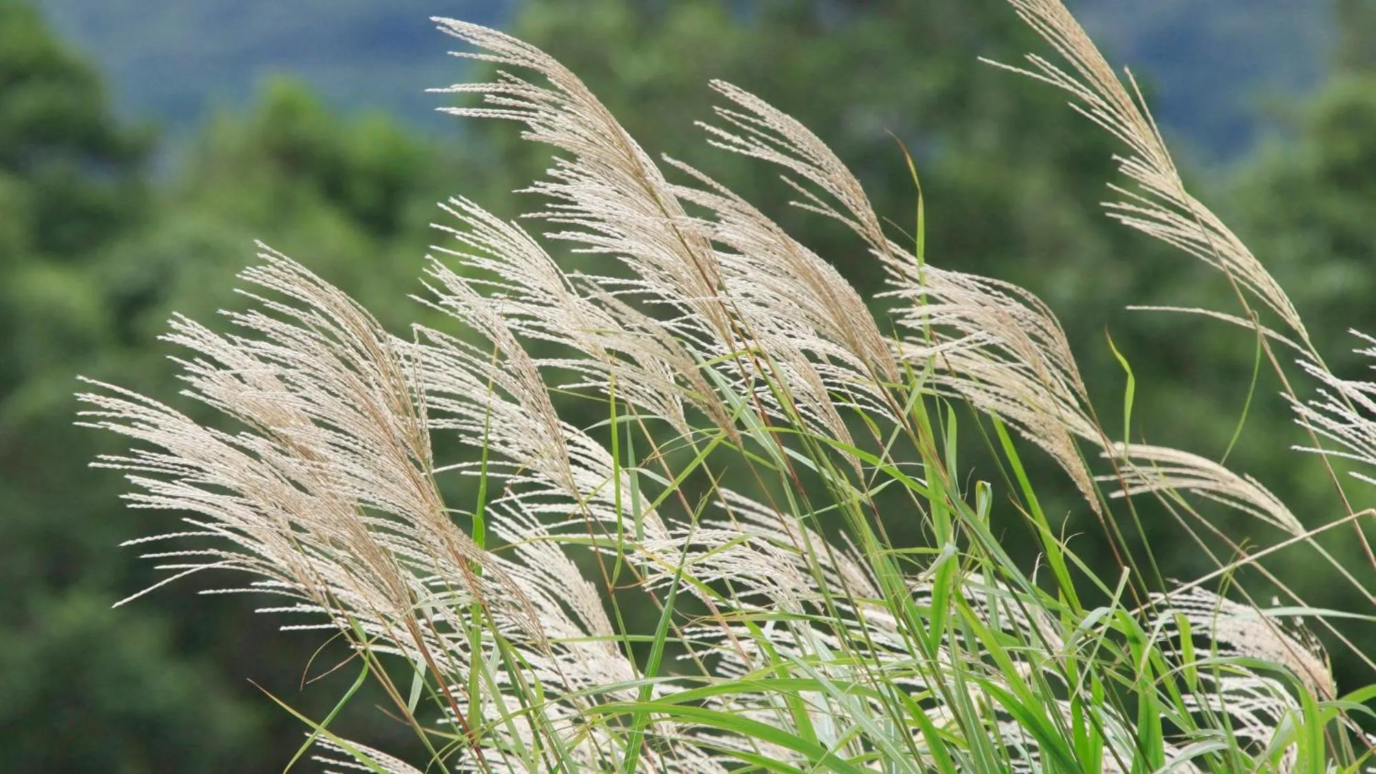 Nearby landmark in Blisstia Hakone Sengokuhara Adult only