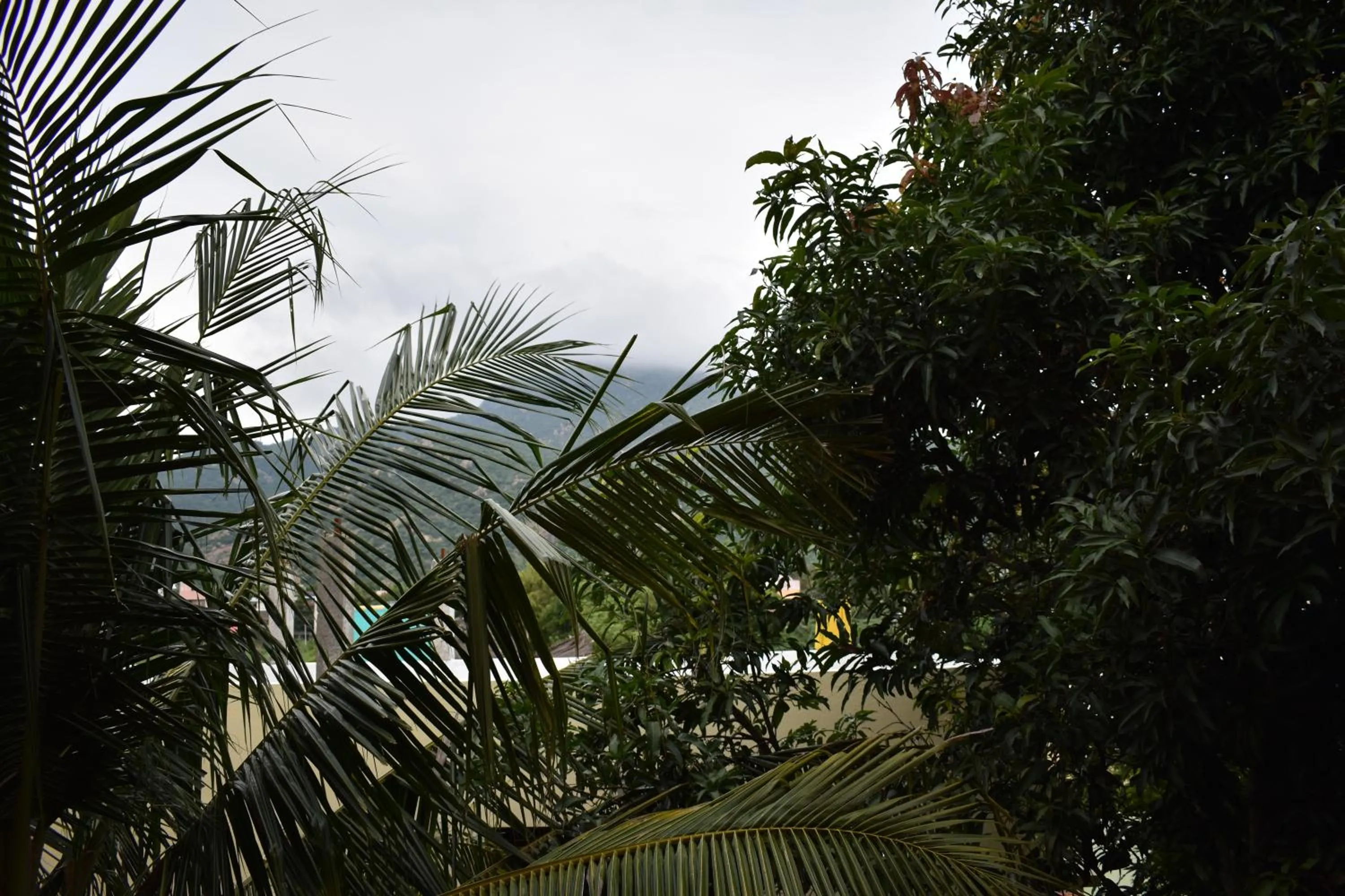 Natural landscape in Rainbow Guest House