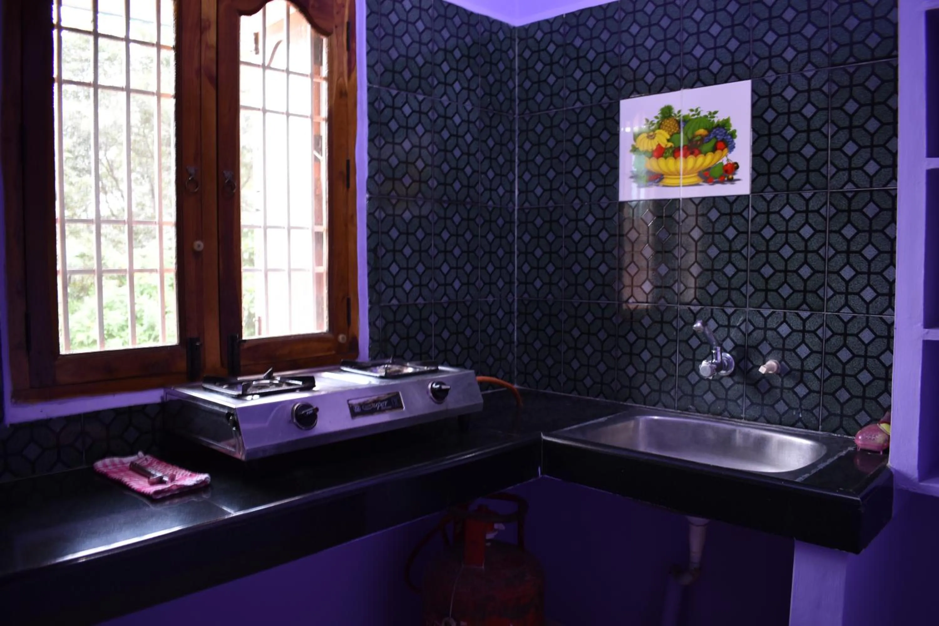 Kitchen or kitchenette in Rainbow Guest House