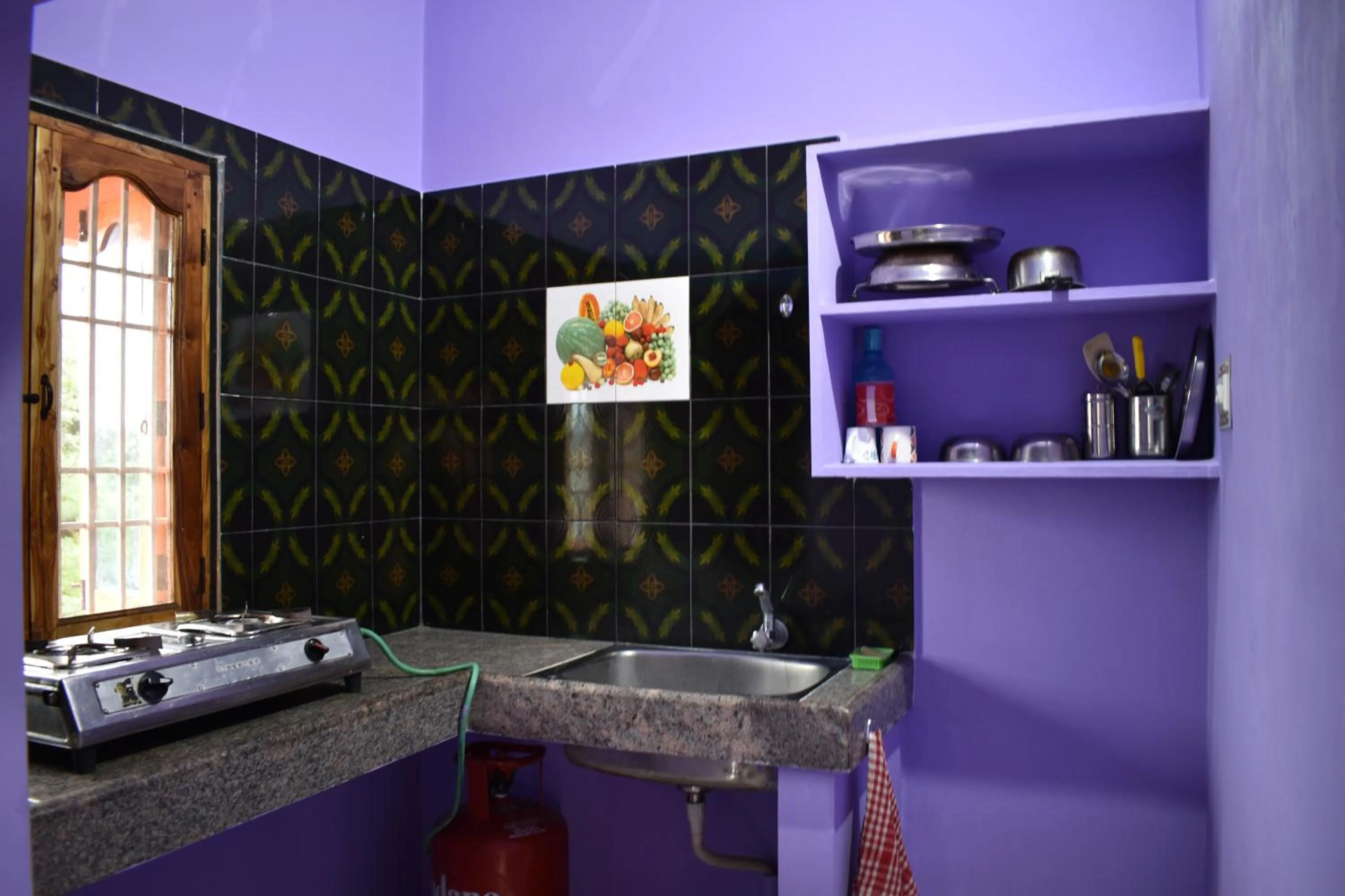 Kitchen or kitchenette in Rainbow Guest House