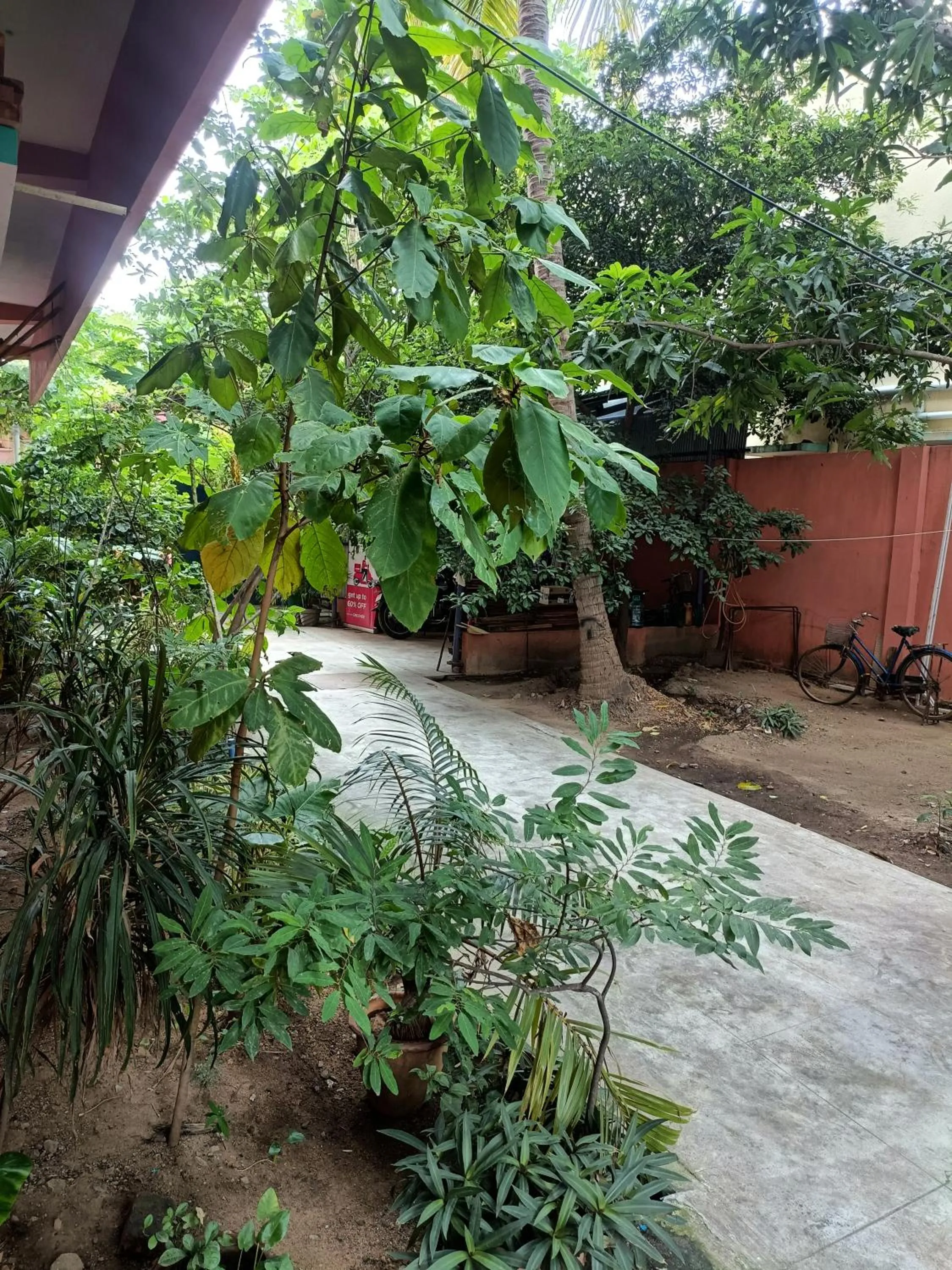 Garden in Rainbow Guest House