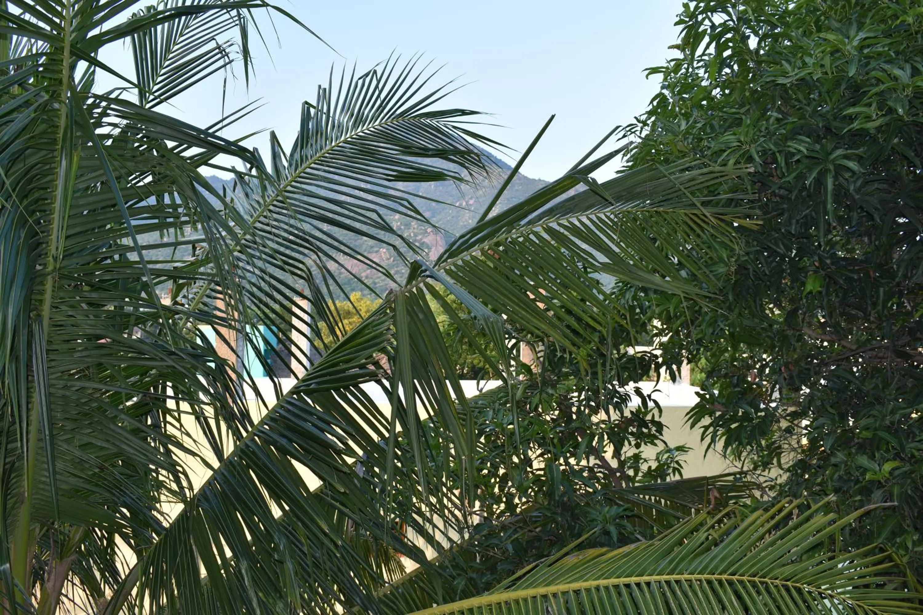 Garden view in Rainbow Guest House