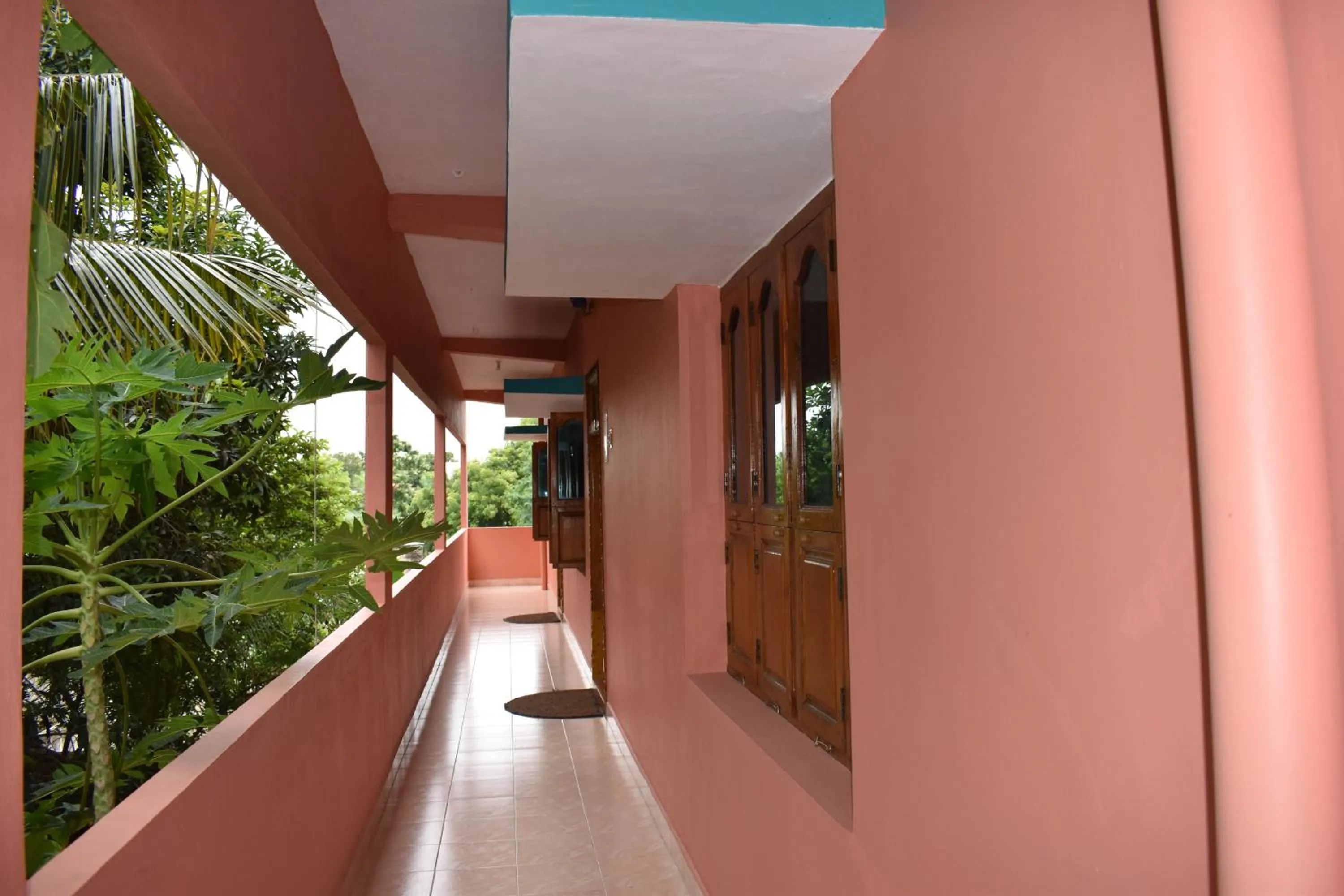Garden view in Rainbow Guest House