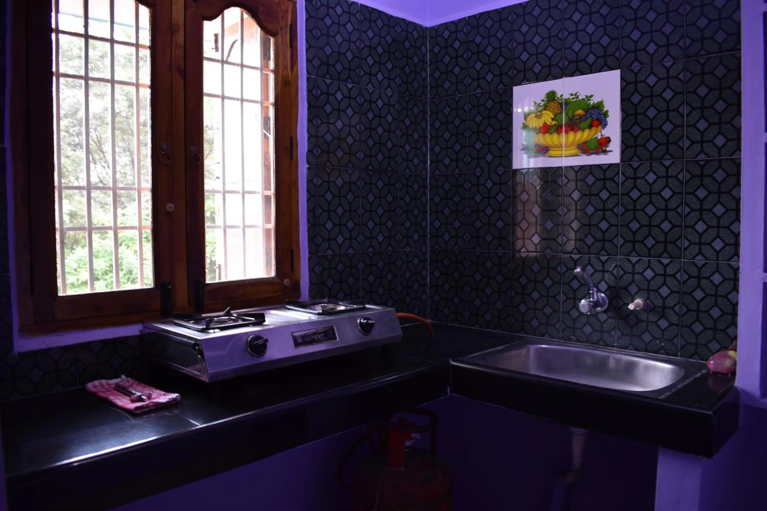 Kitchen or kitchenette in Rainbow Guest House