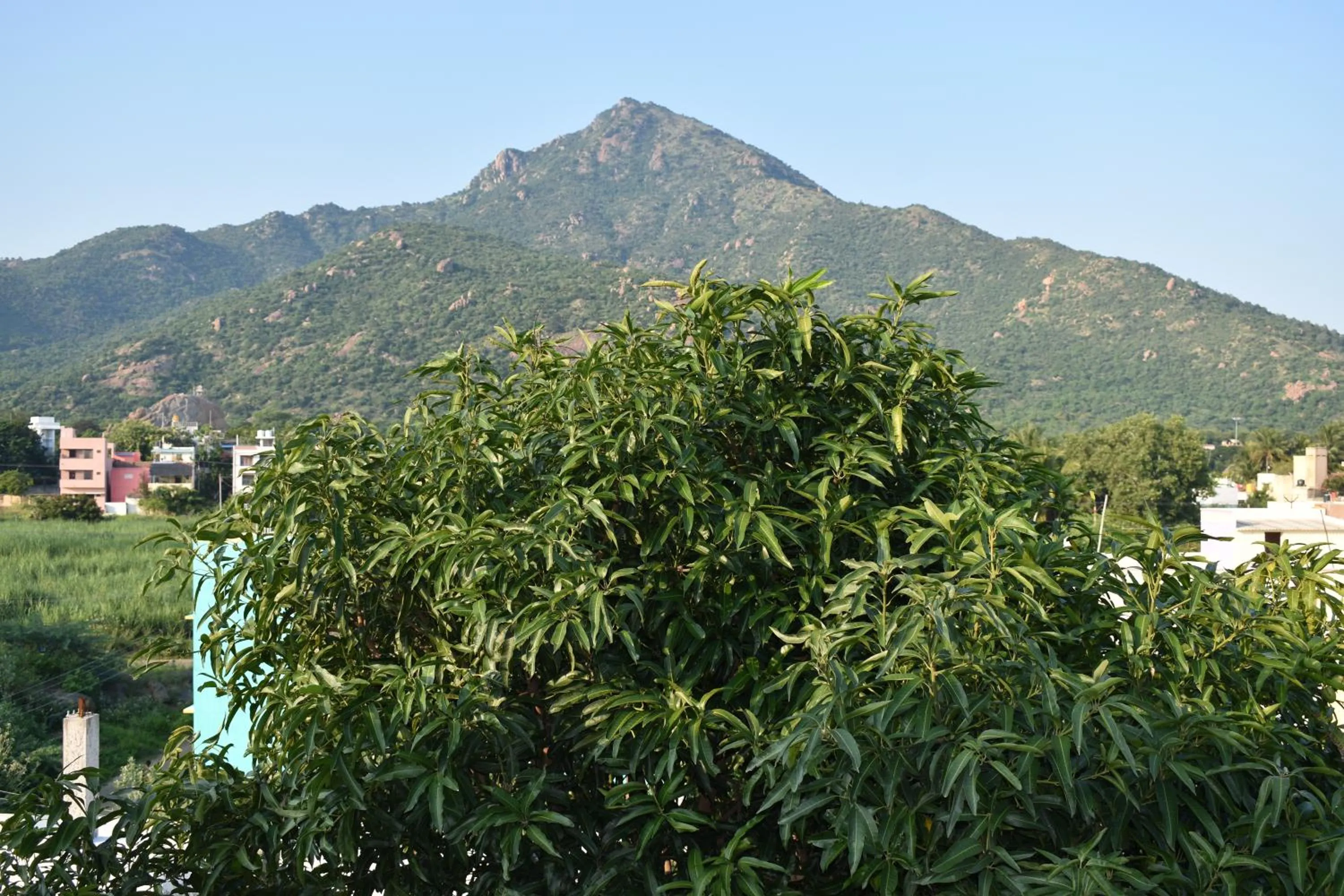 Mountain view in Rainbow Guest House