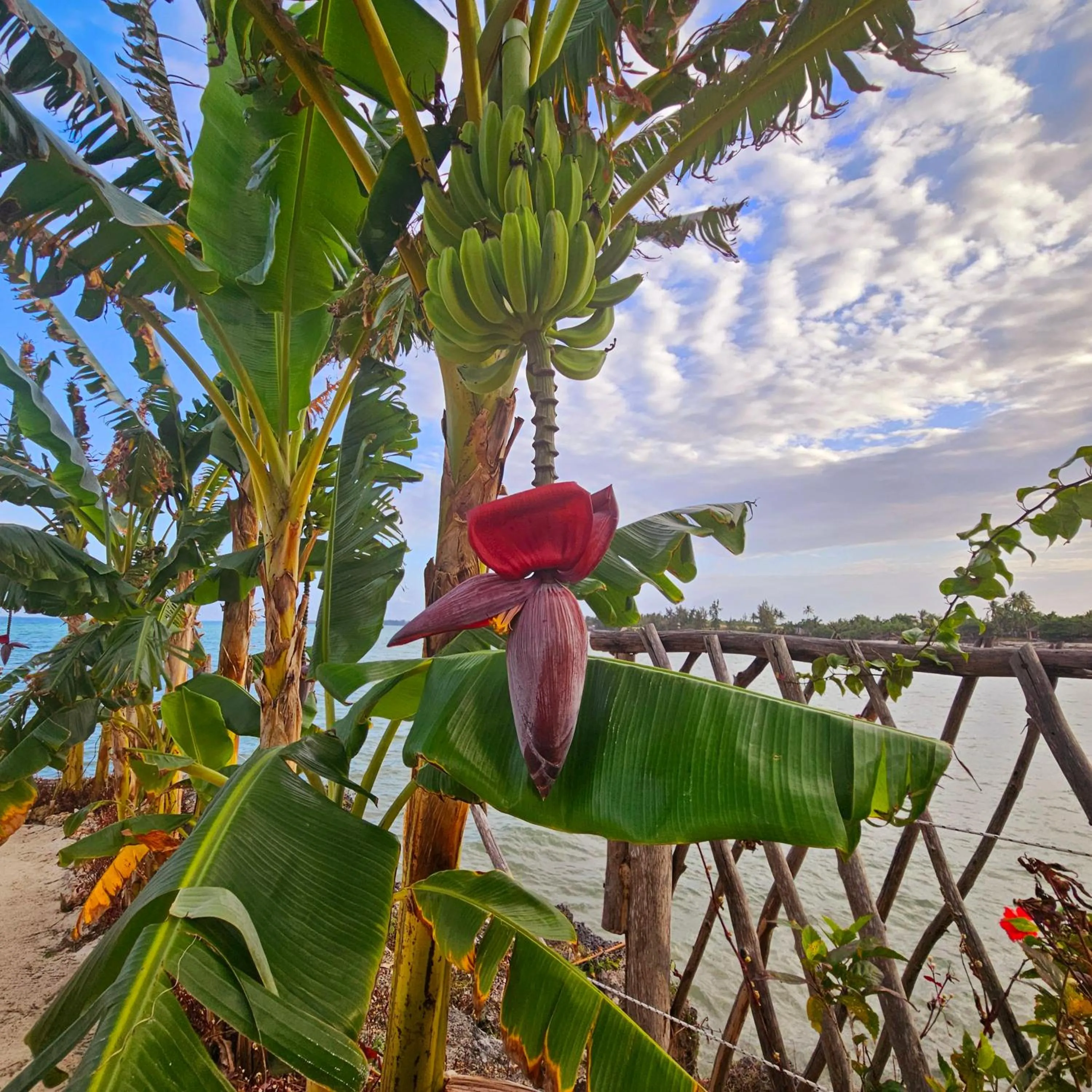 Other in Maharaja Boutique Hotel Zanzibar