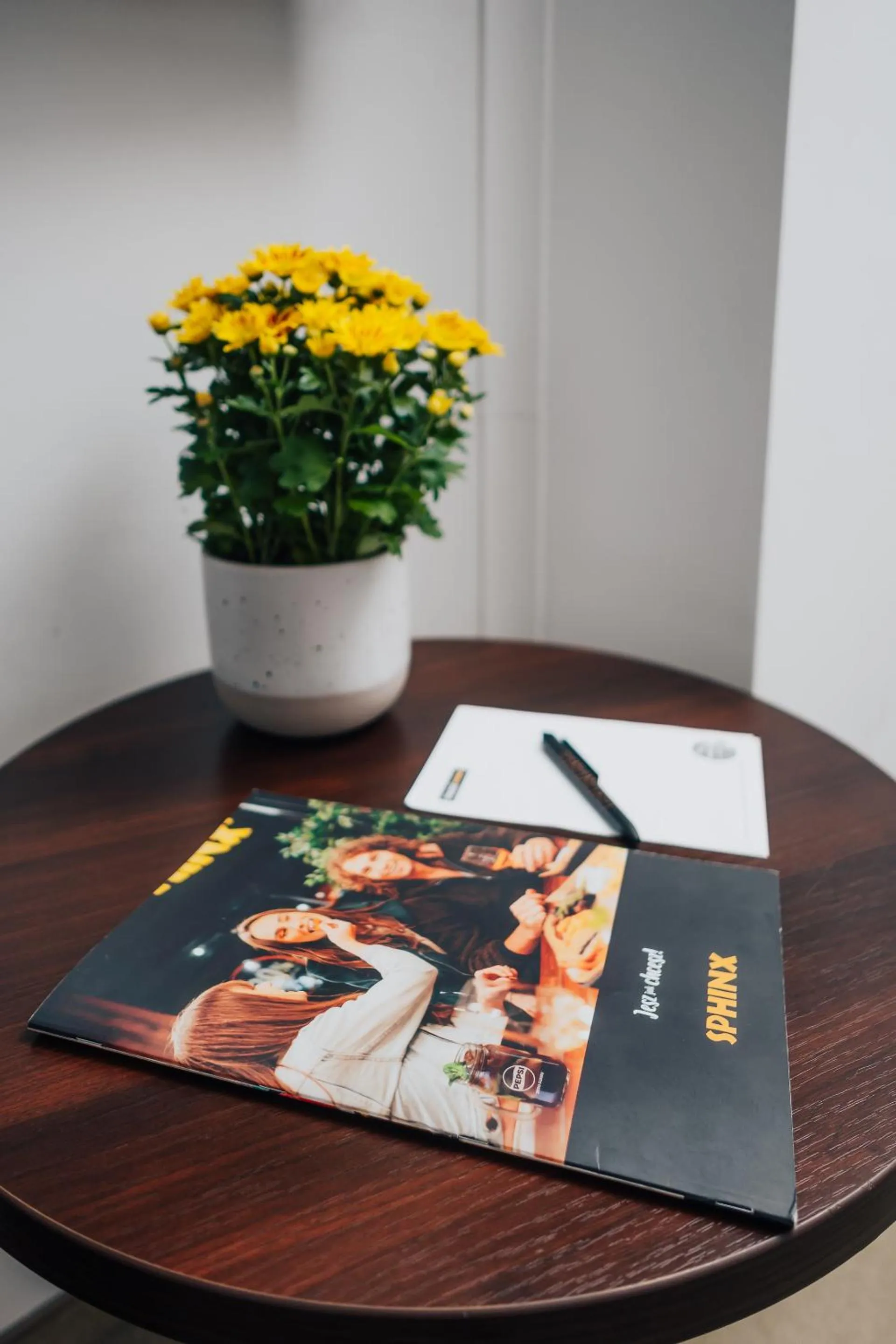 Photo of the whole room in Hotel Sphinx