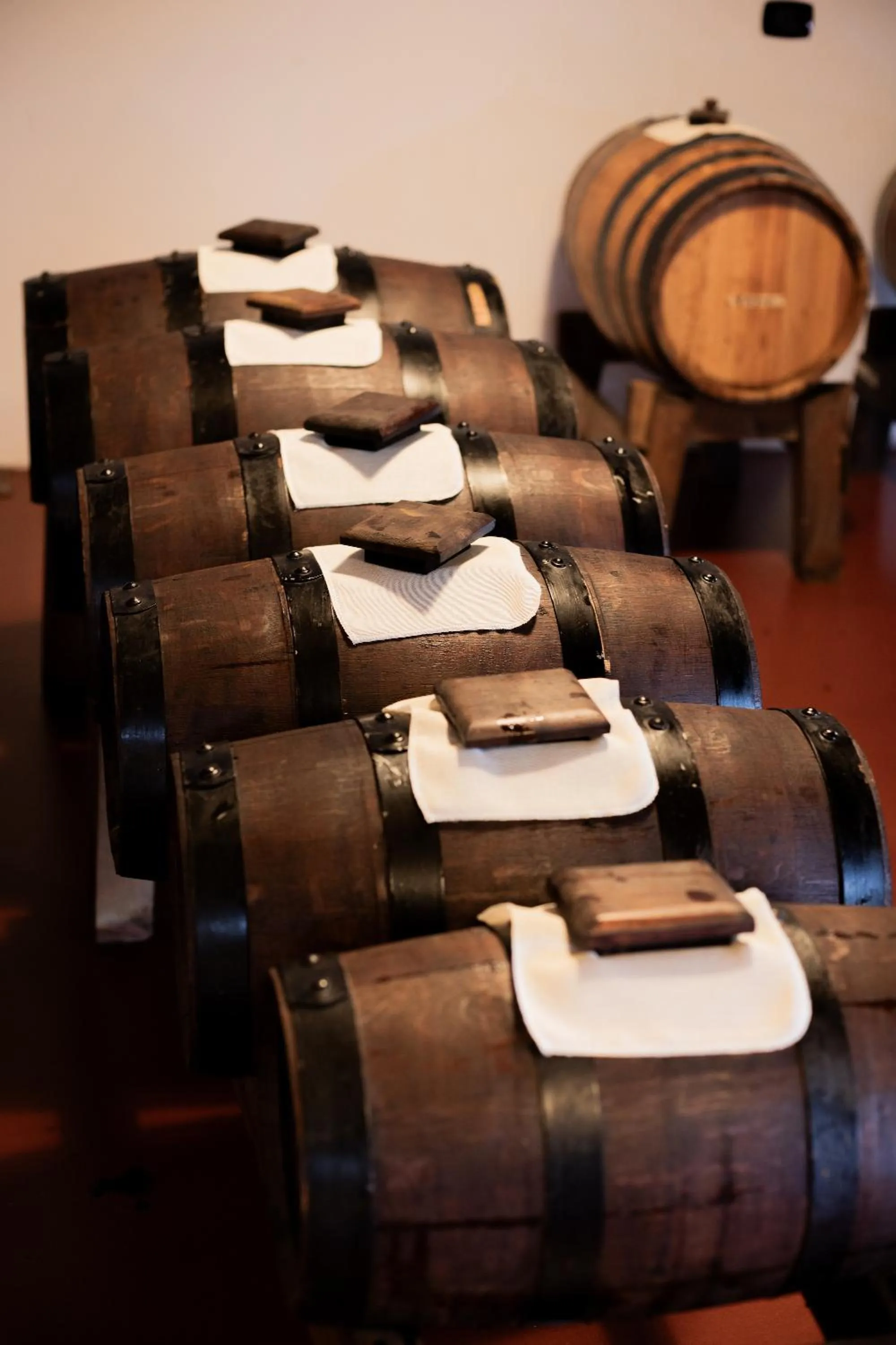 LA CASCINA DEL BALSAMICO b&b