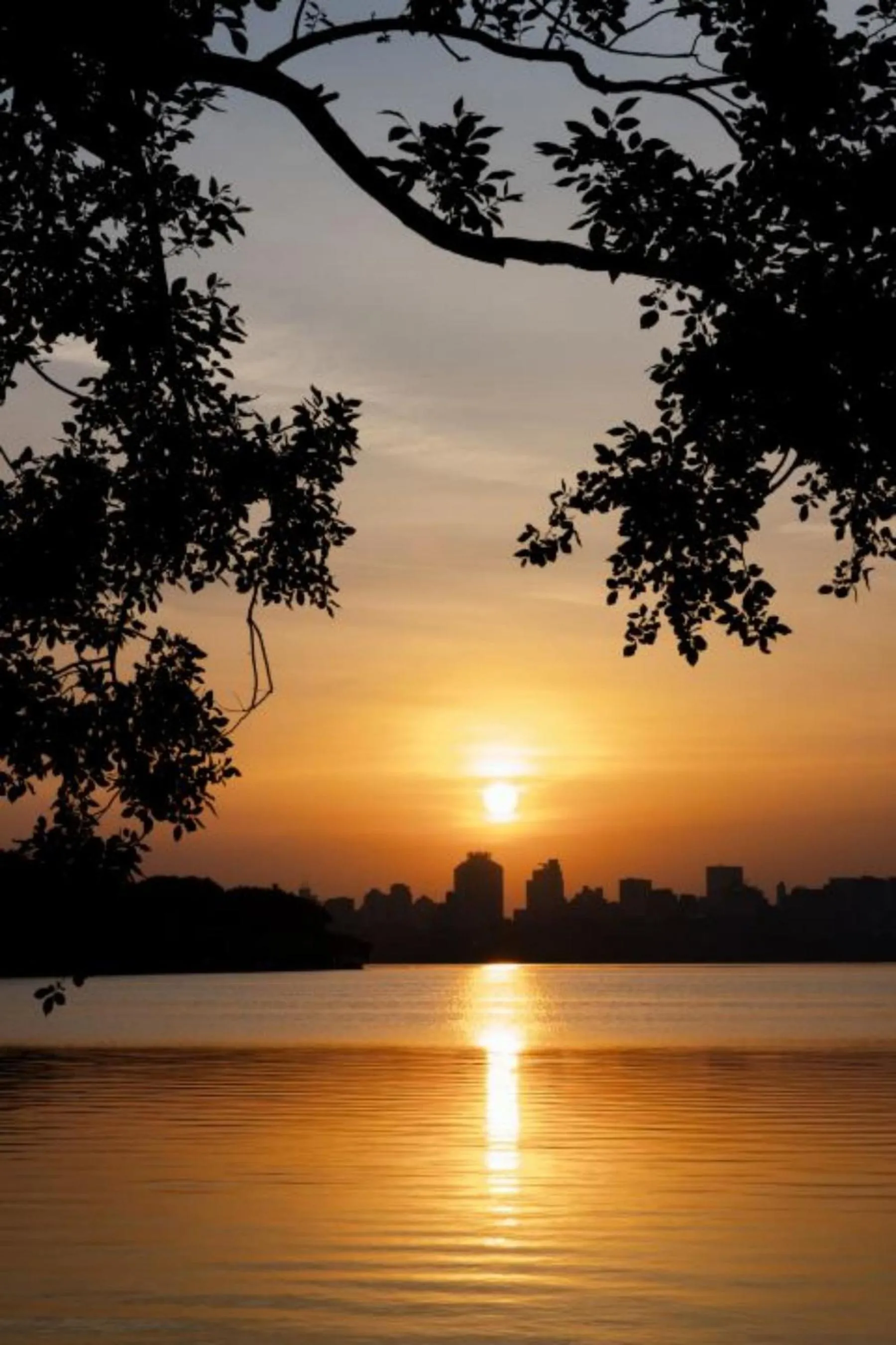 Natural landscape in Hangzhou West Lake Anyu Hotel