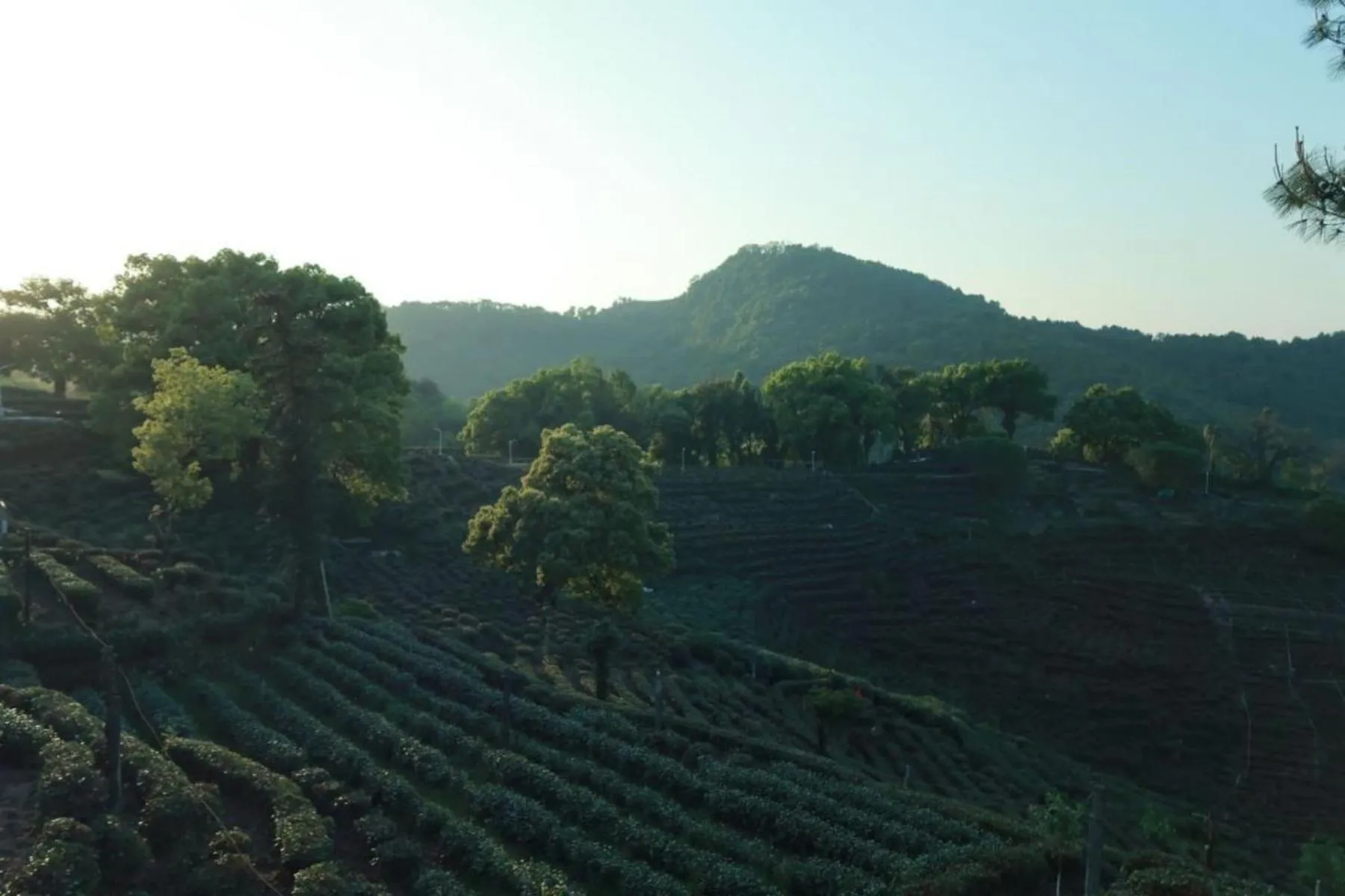 Natural landscape in Hangzhou West Lake Anyu Hotel