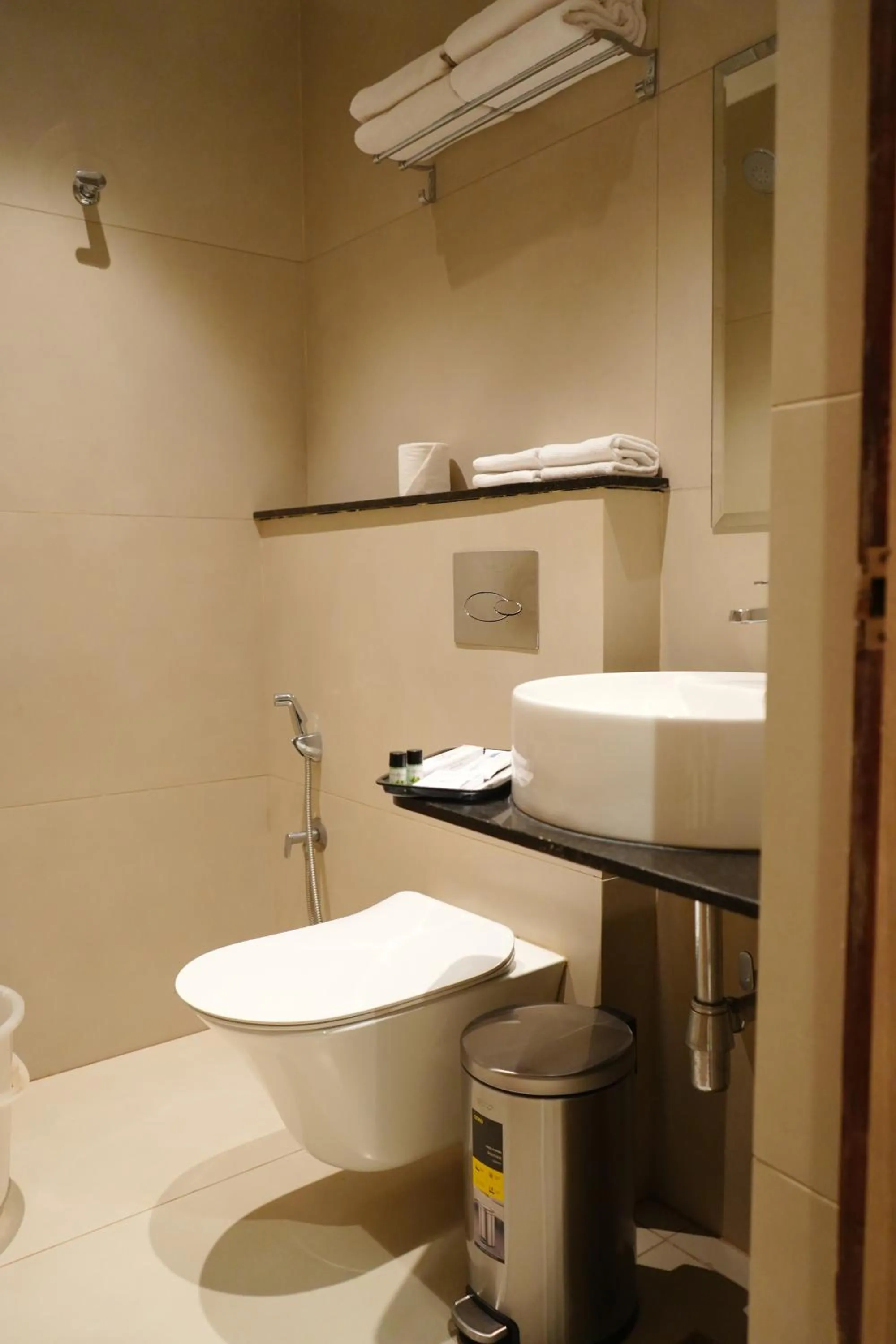 Toilet in Royal Paris