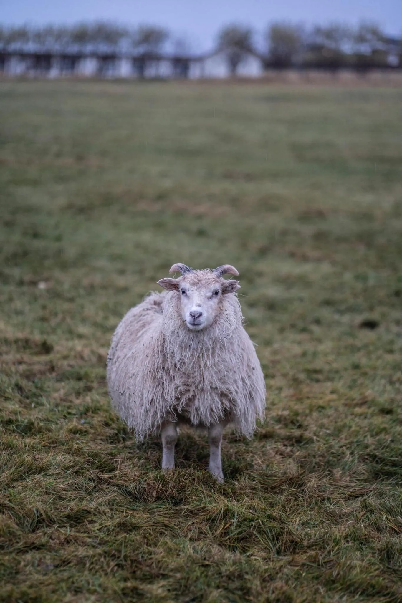 Property building in Gerdi Guesthouse