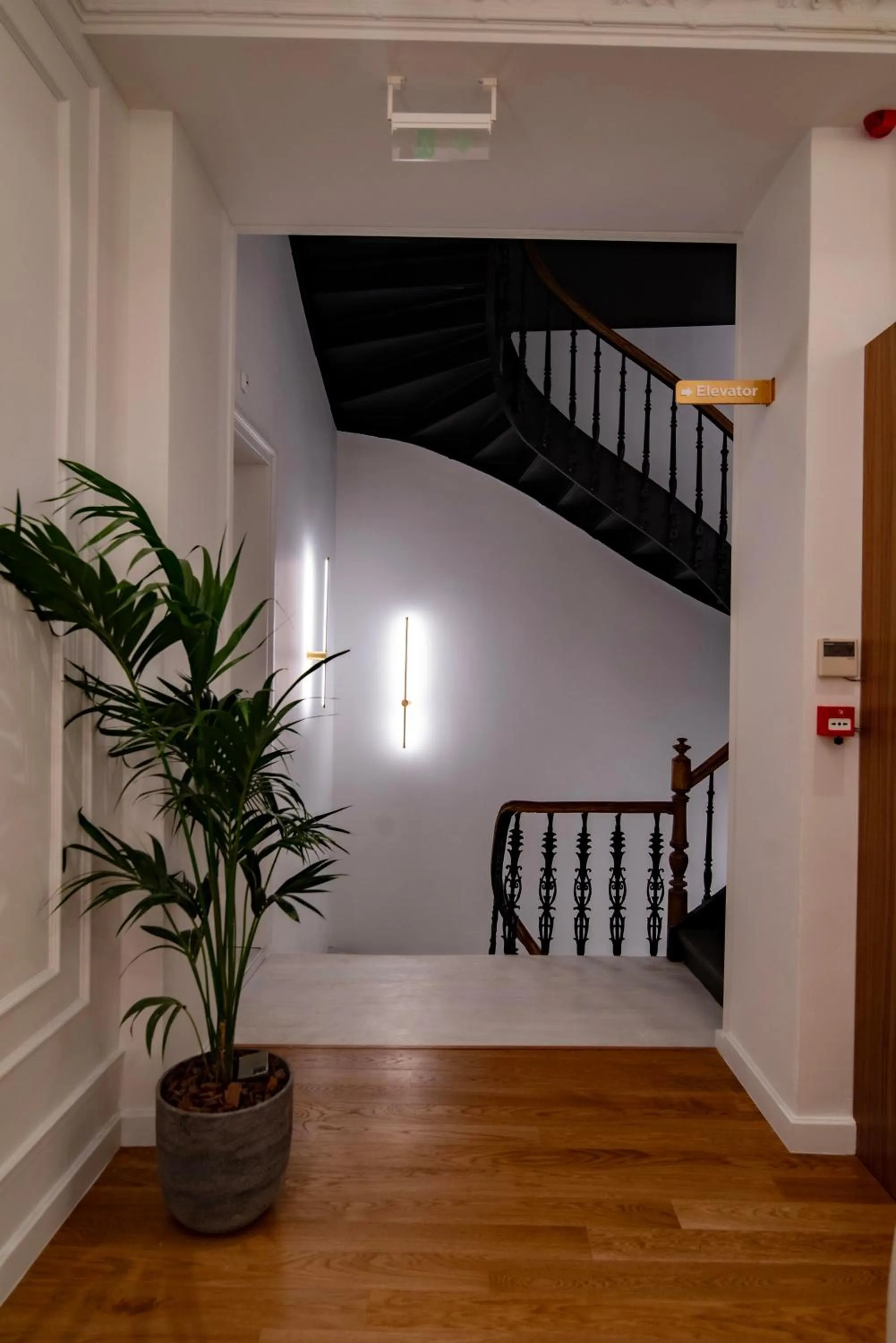 Decorative detail in Athens Icon Collection