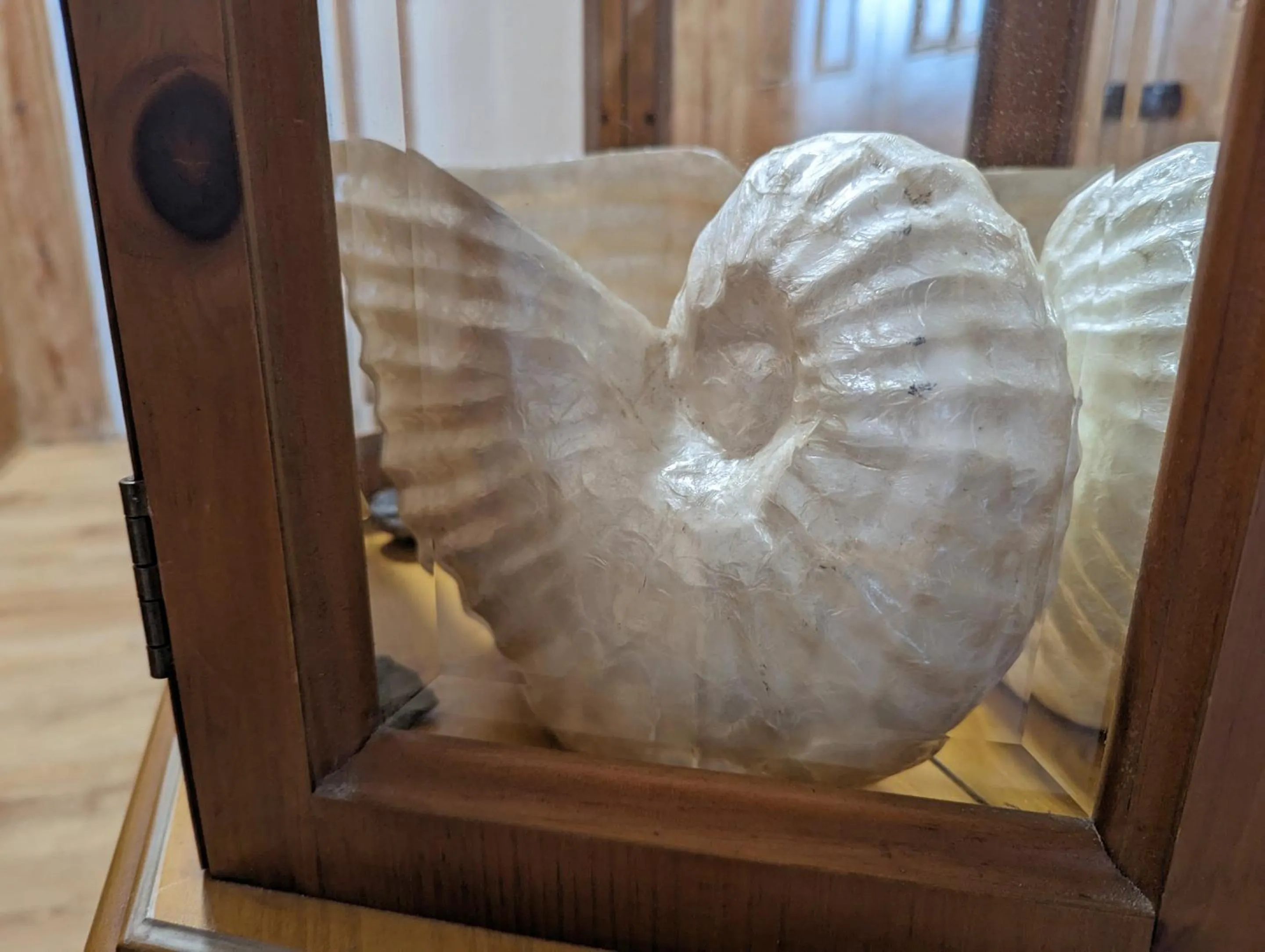 Lobby or reception in Jurassic Bay Holidays