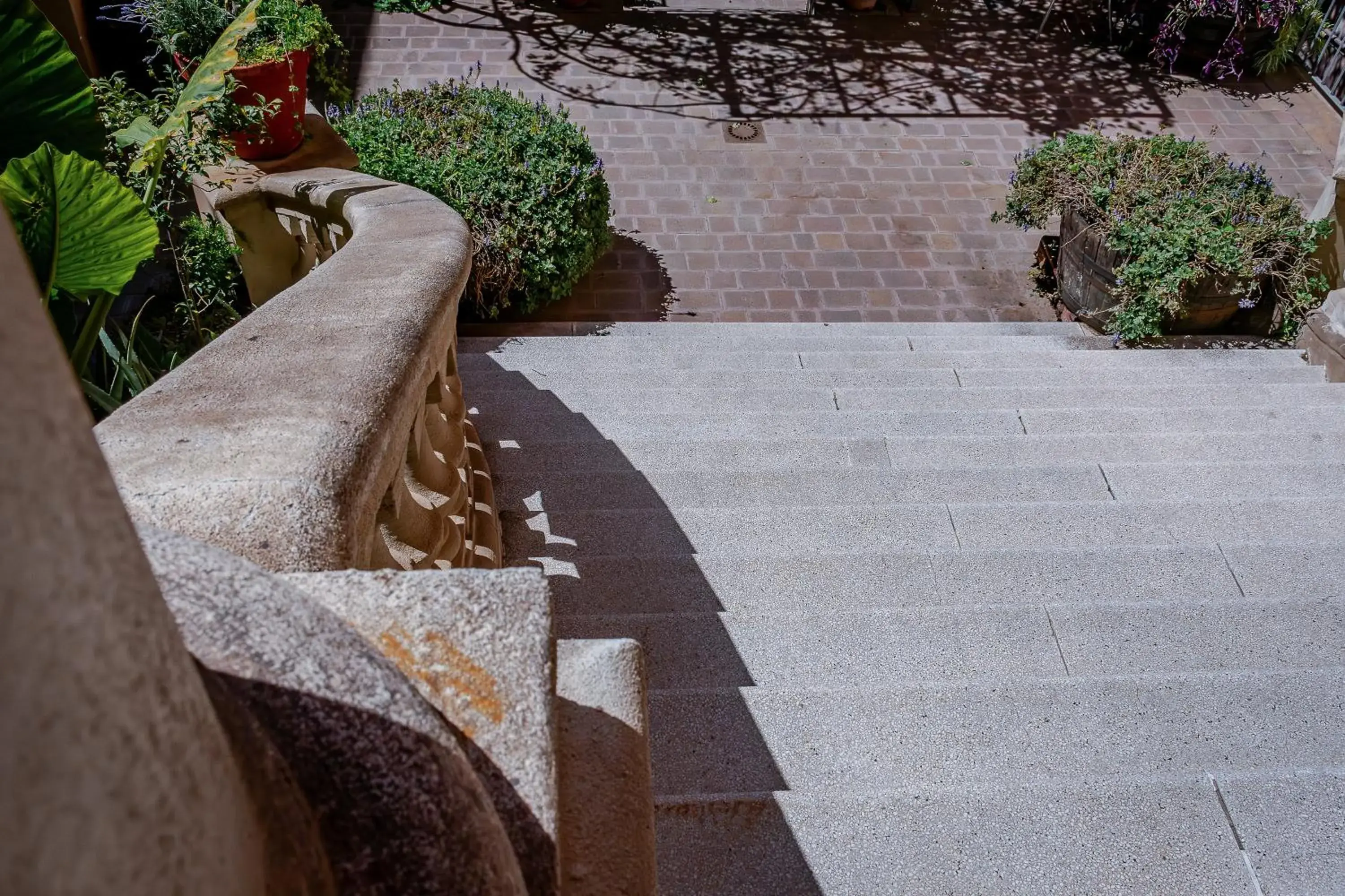 Garden view in Verdi 254 Garden view in Verdi 254