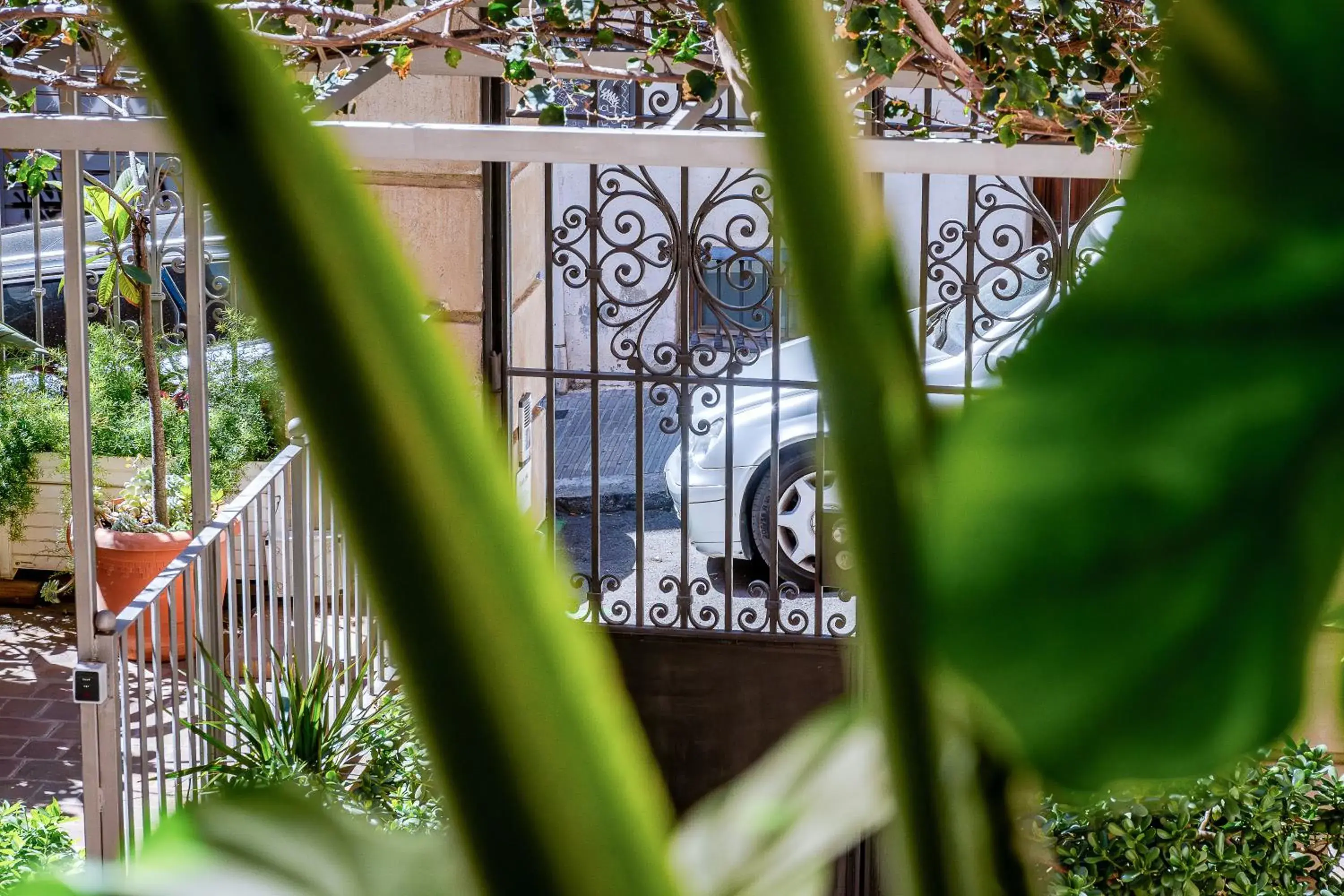 Garden view in Verdi 254 Garden view in Verdi 254