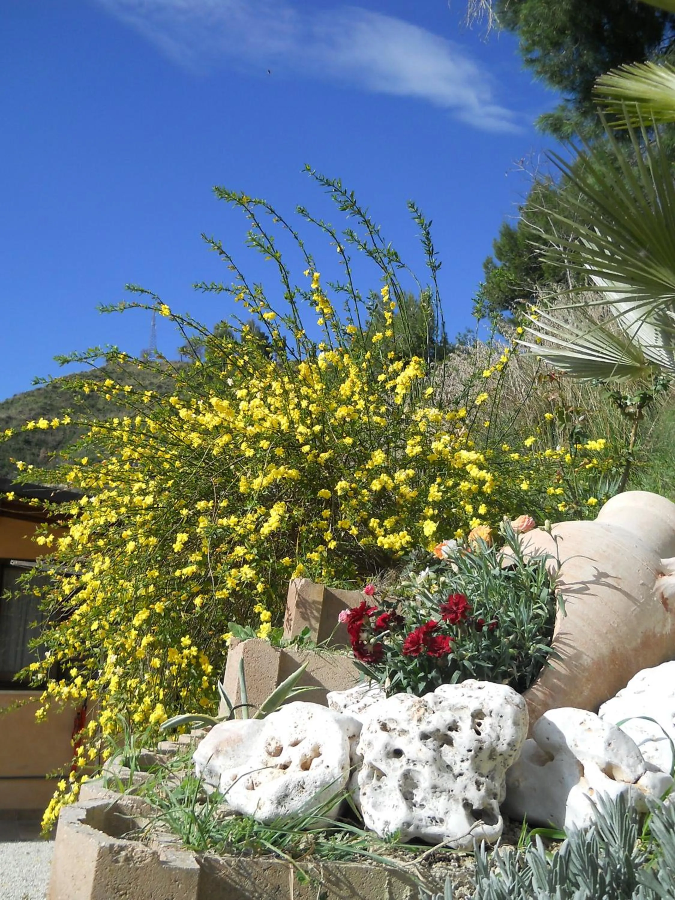 Spring in B&B Silent Valley