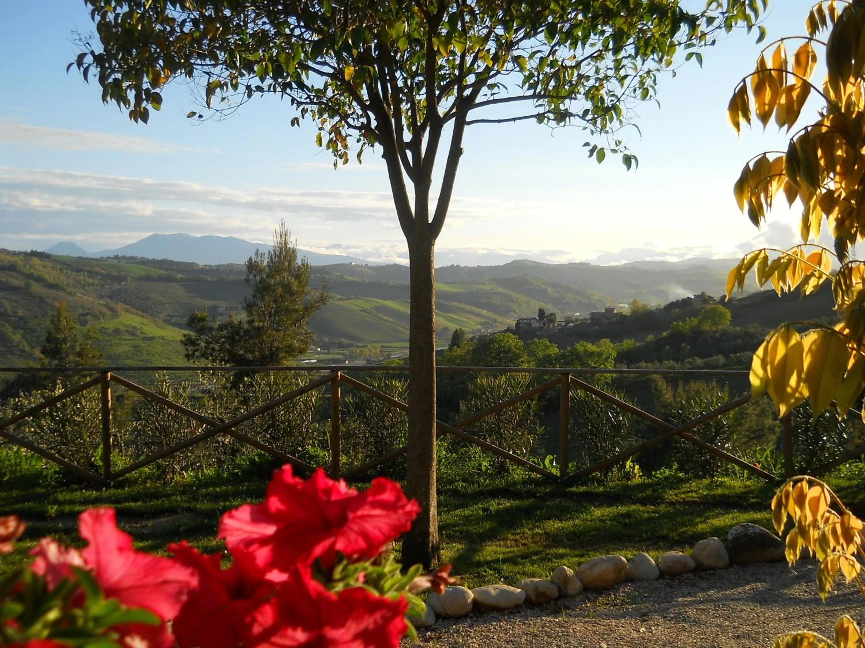 Garden in B&B Silent Valley