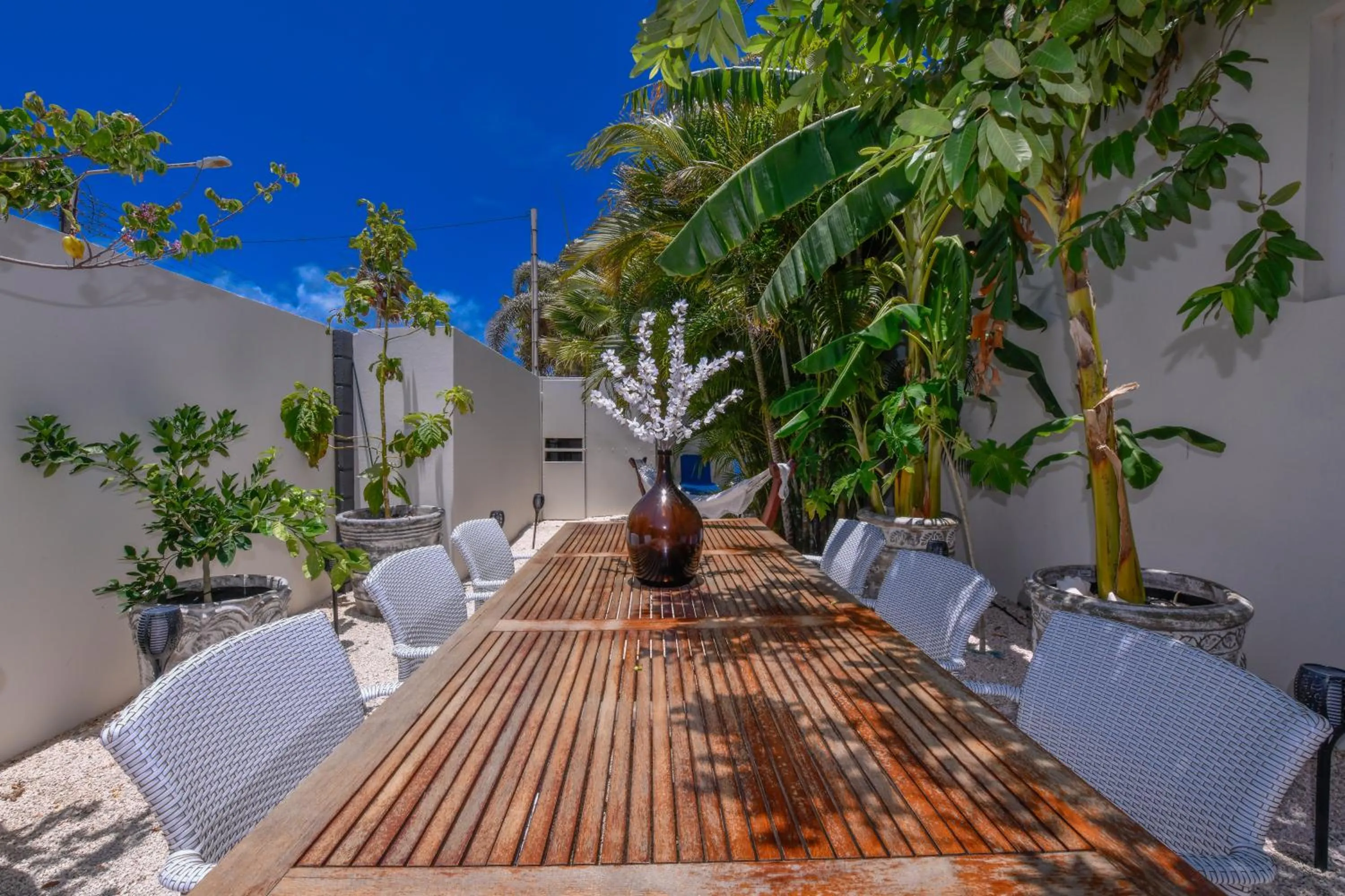 Garden in Boutique Hotel Swiss Paradise Aruba Villas and Suites