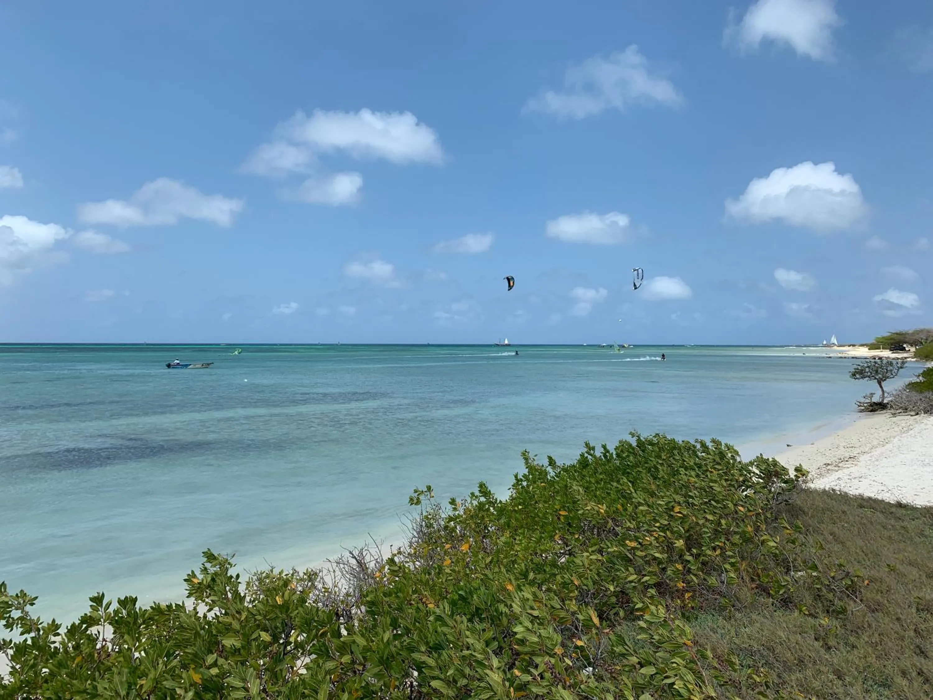 Windsurfing in Boutique Hotel Swiss Paradise Aruba Villas and Suites