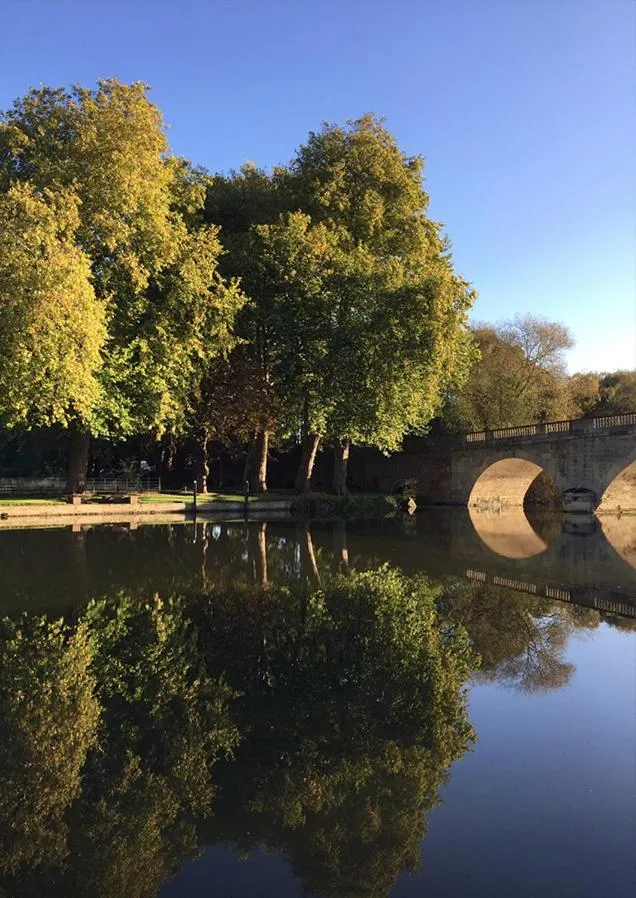 View (from property/room) in Shillingford Bridge Hotel