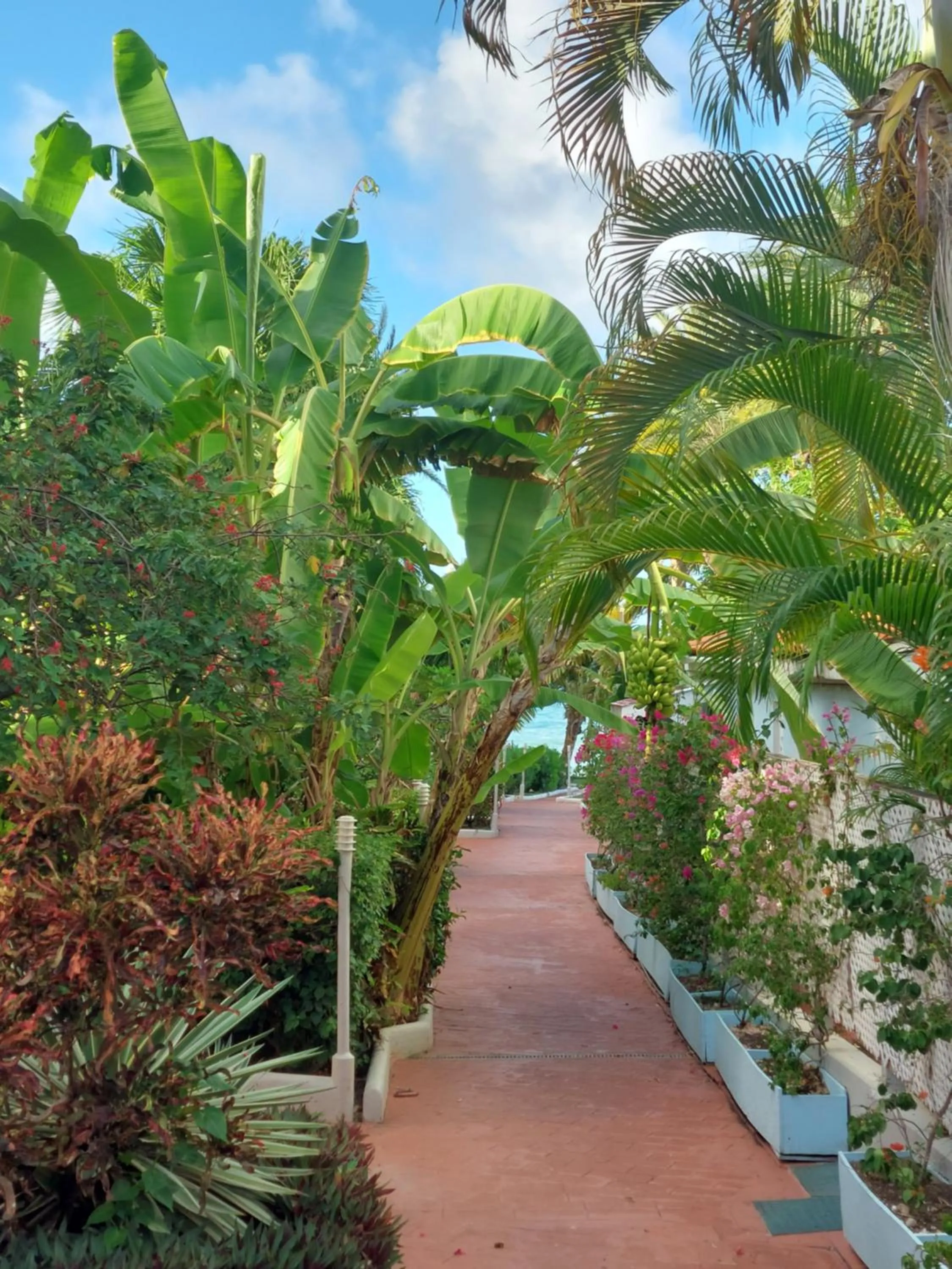 Garden view in Northshore Seaside Suites