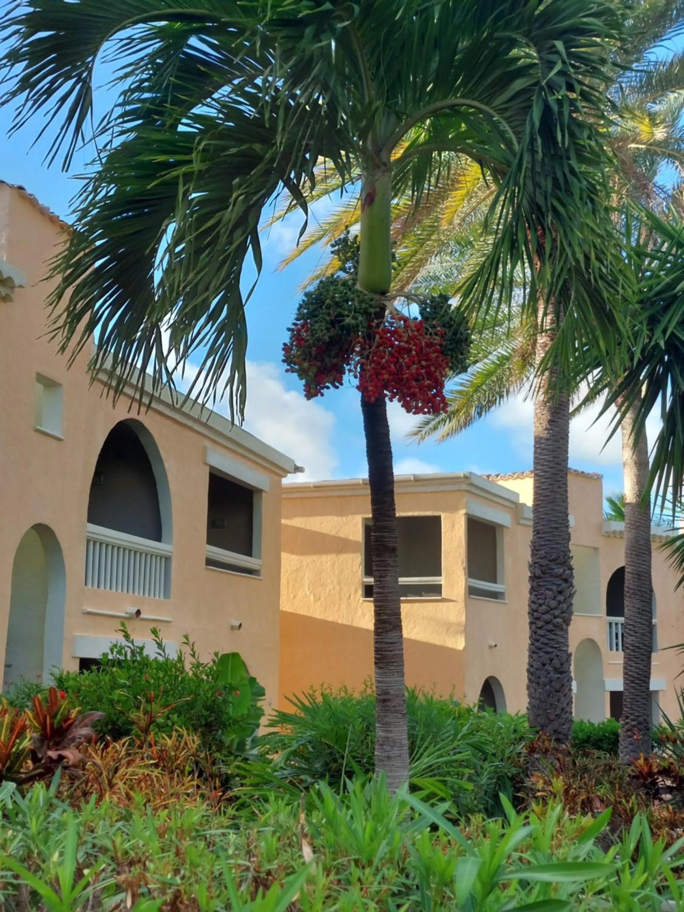 Property building in Northshore Seaside Suites