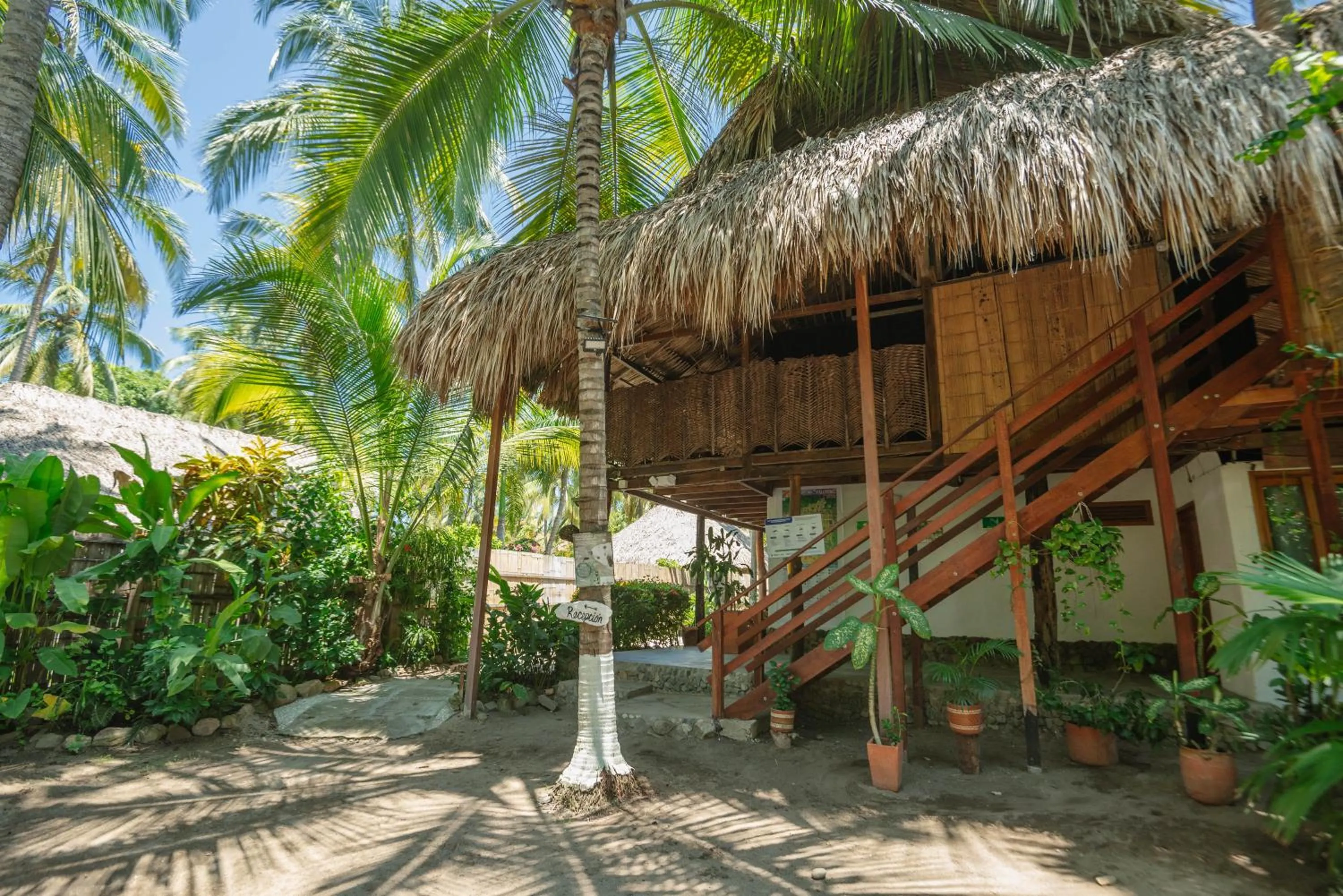 Day in Finca Escondida