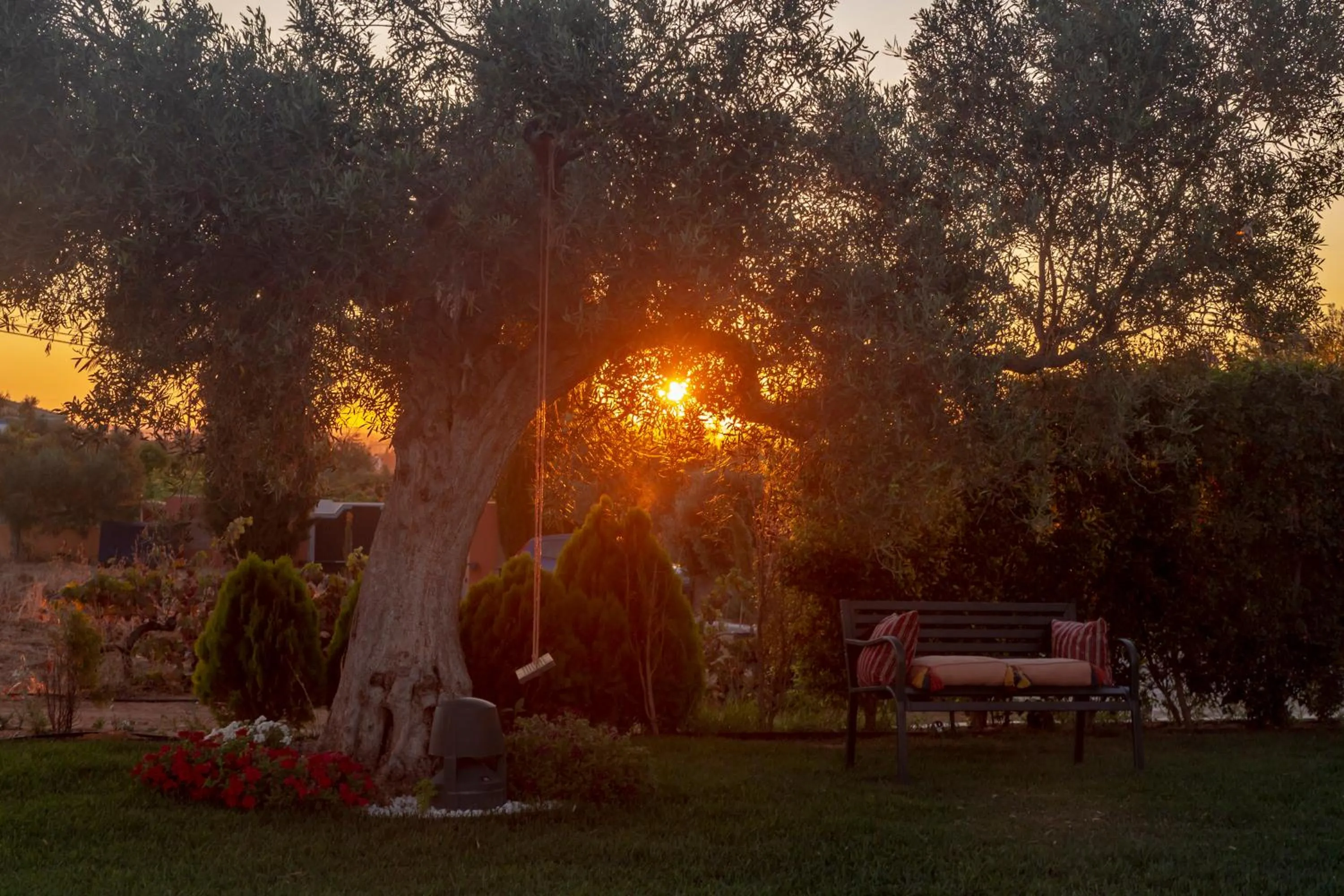 Garden in Al Karob Yoga Boutique Villa