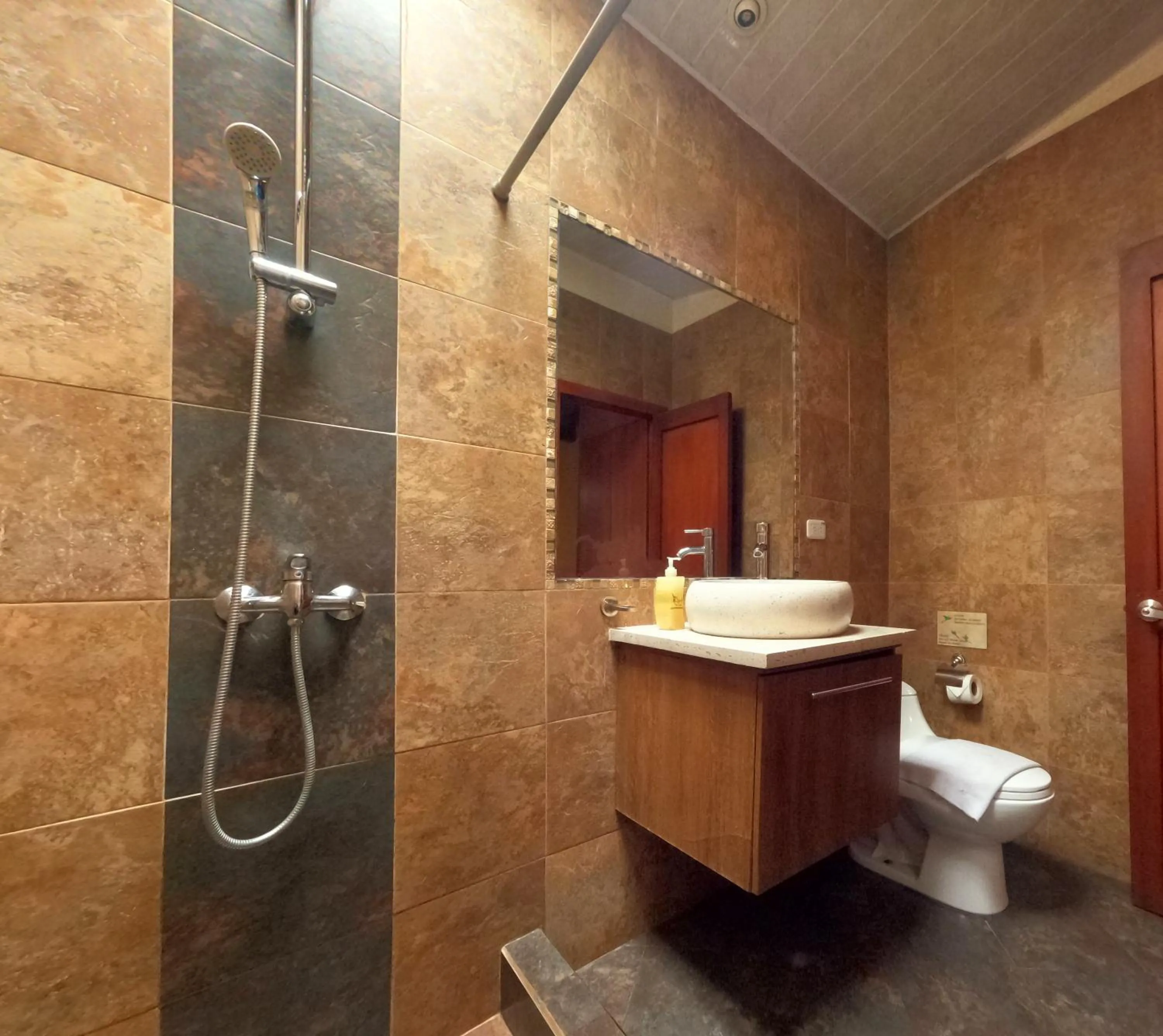 Single Room with Terrace - single occupancy in ArtPlaza