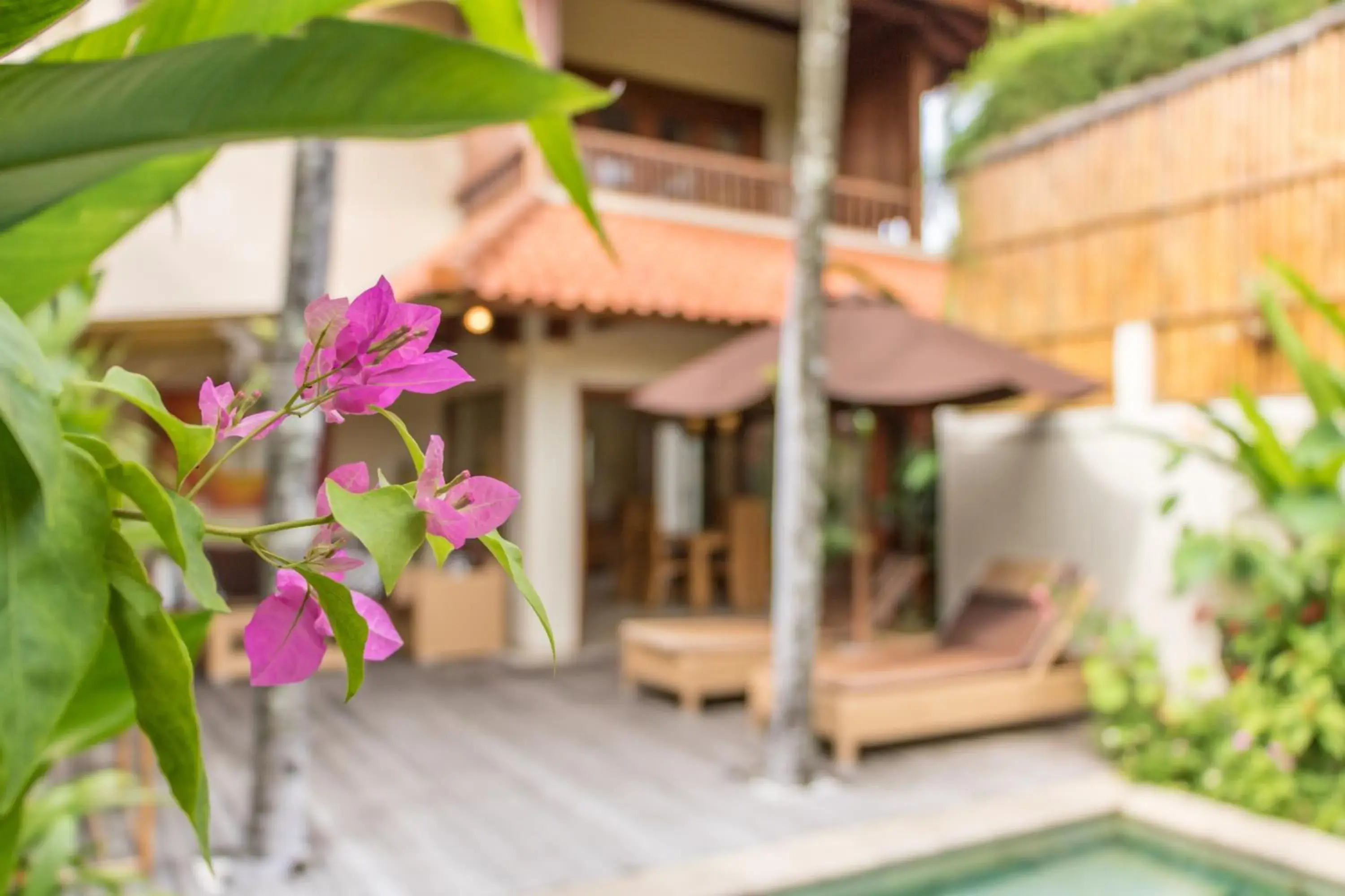 Garden view in Villa Seriska Seminyak Garden view in Villa Seriska Seminyak