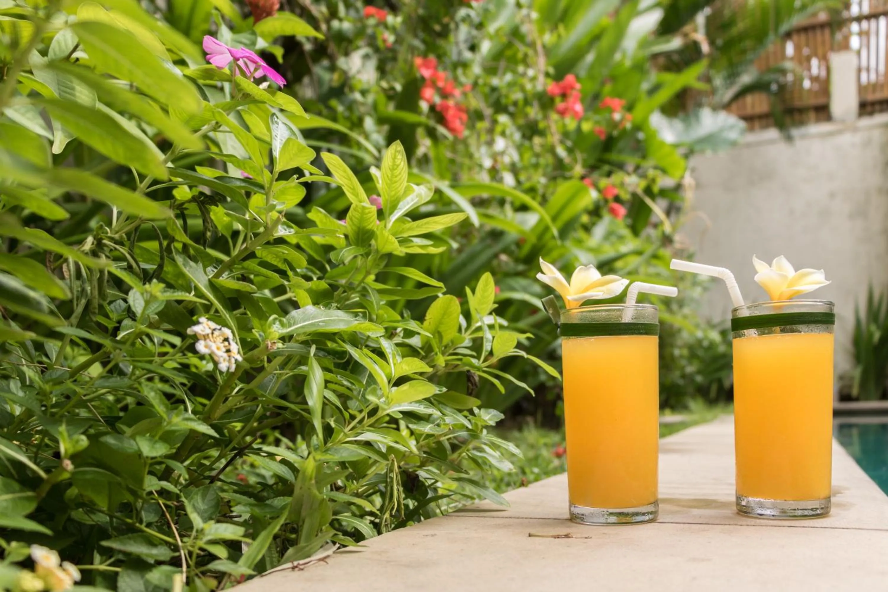 Non alcoholic drinks in Villa Seriska Seminyak