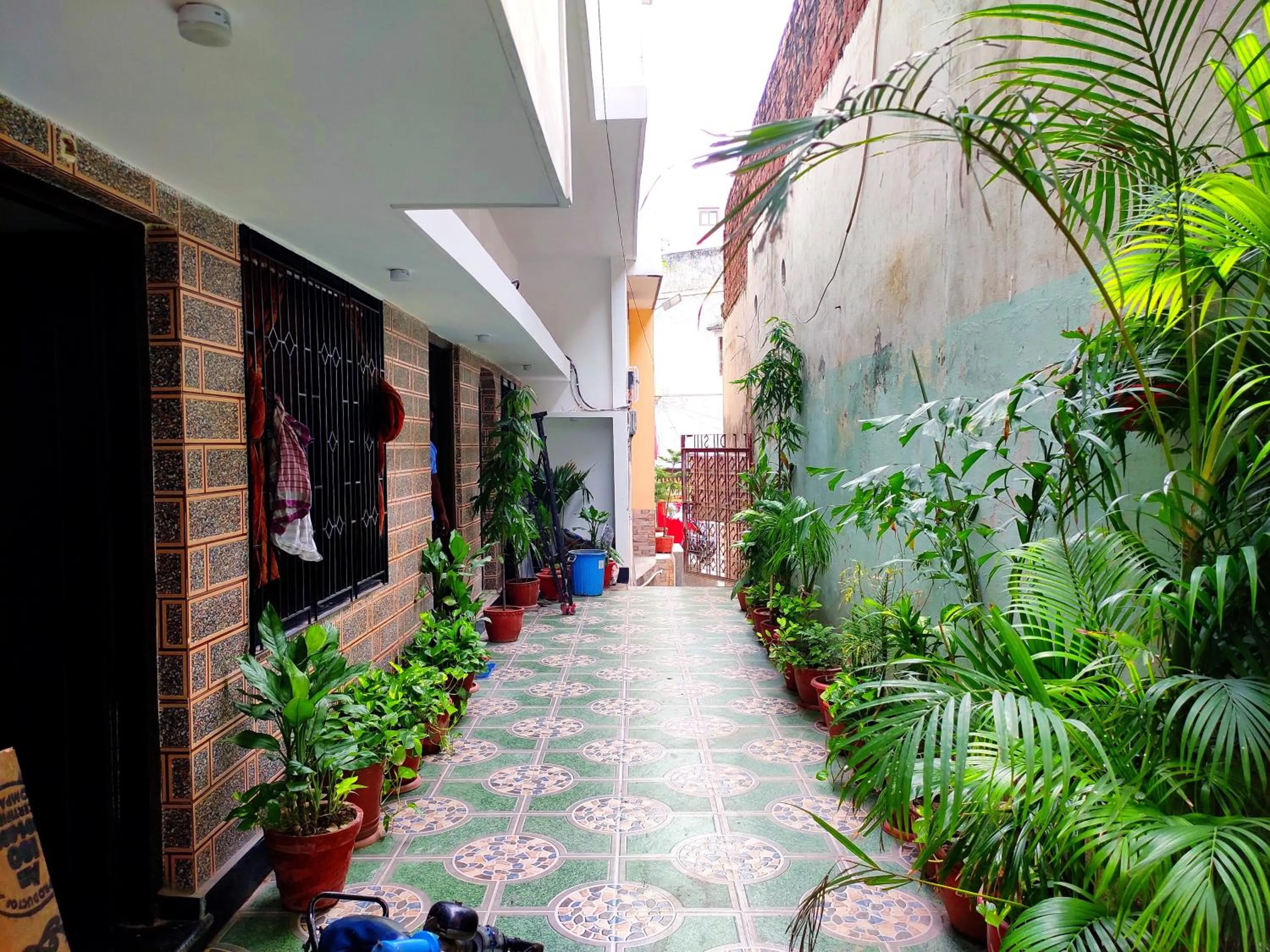 Garden in Khushi Paying Guest House