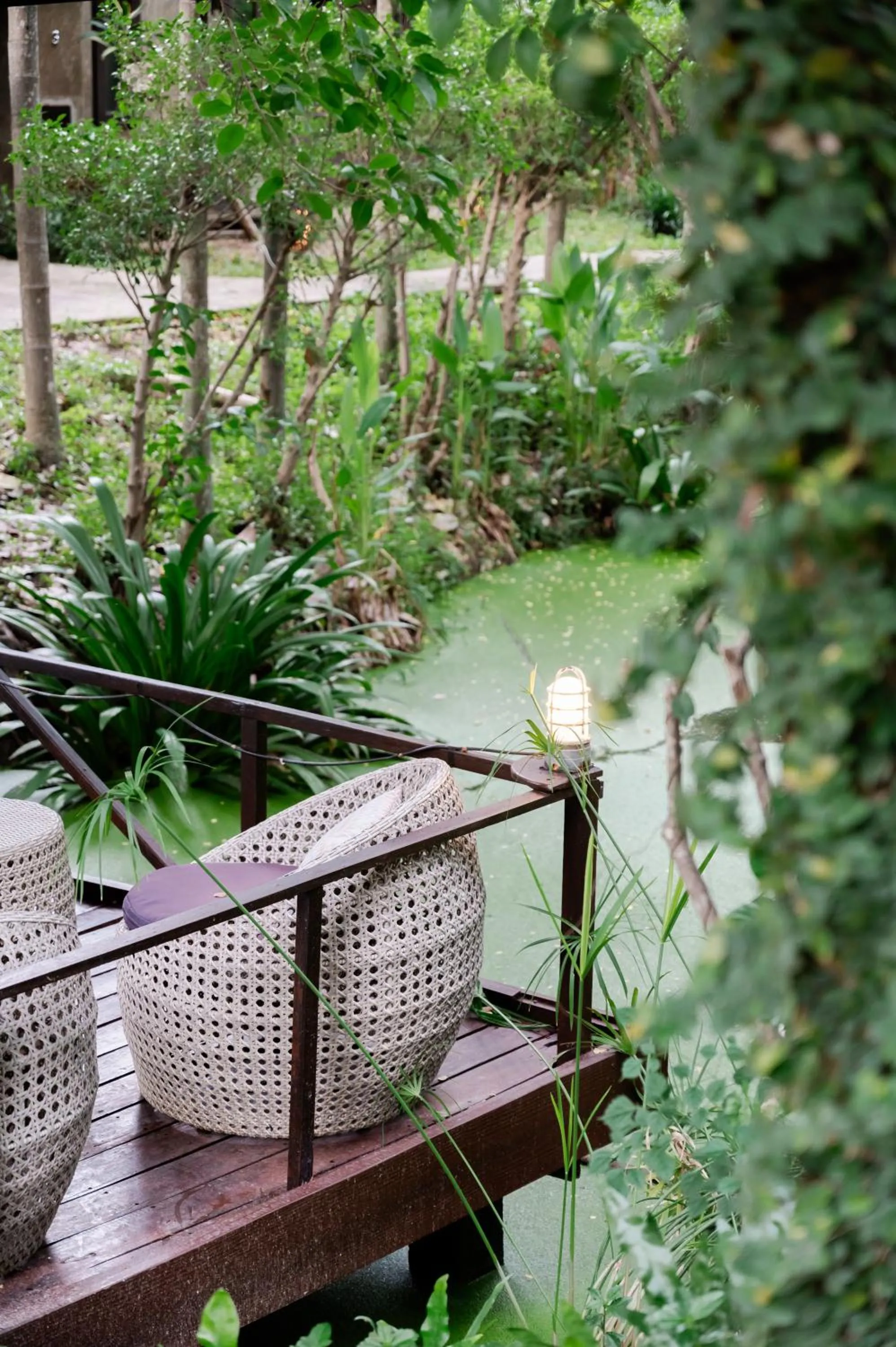 Garden in Tolani Southgate Villa Chiang Mai