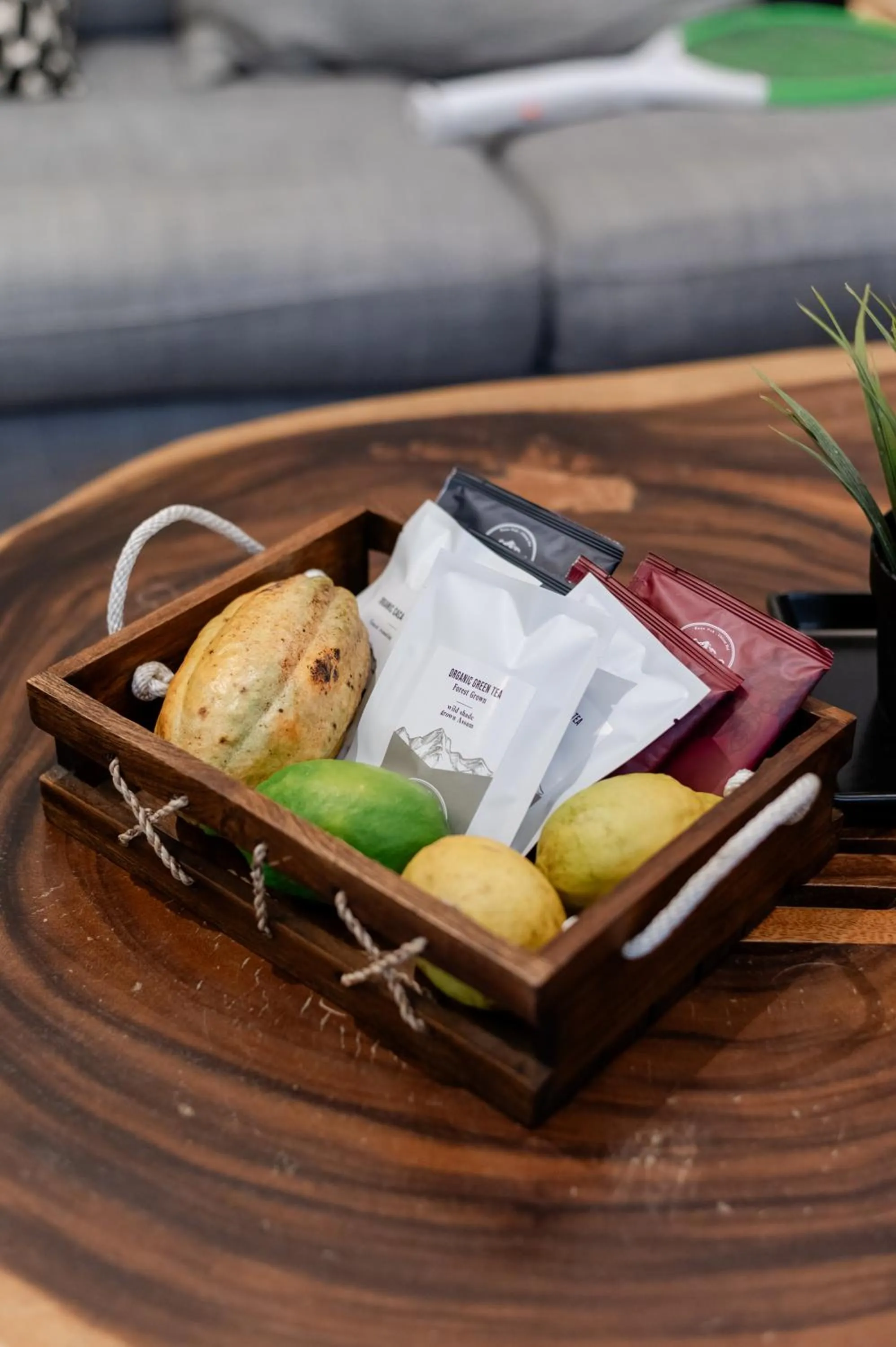 Food and drinks in Tolani Southgate Villa Chiang Mai